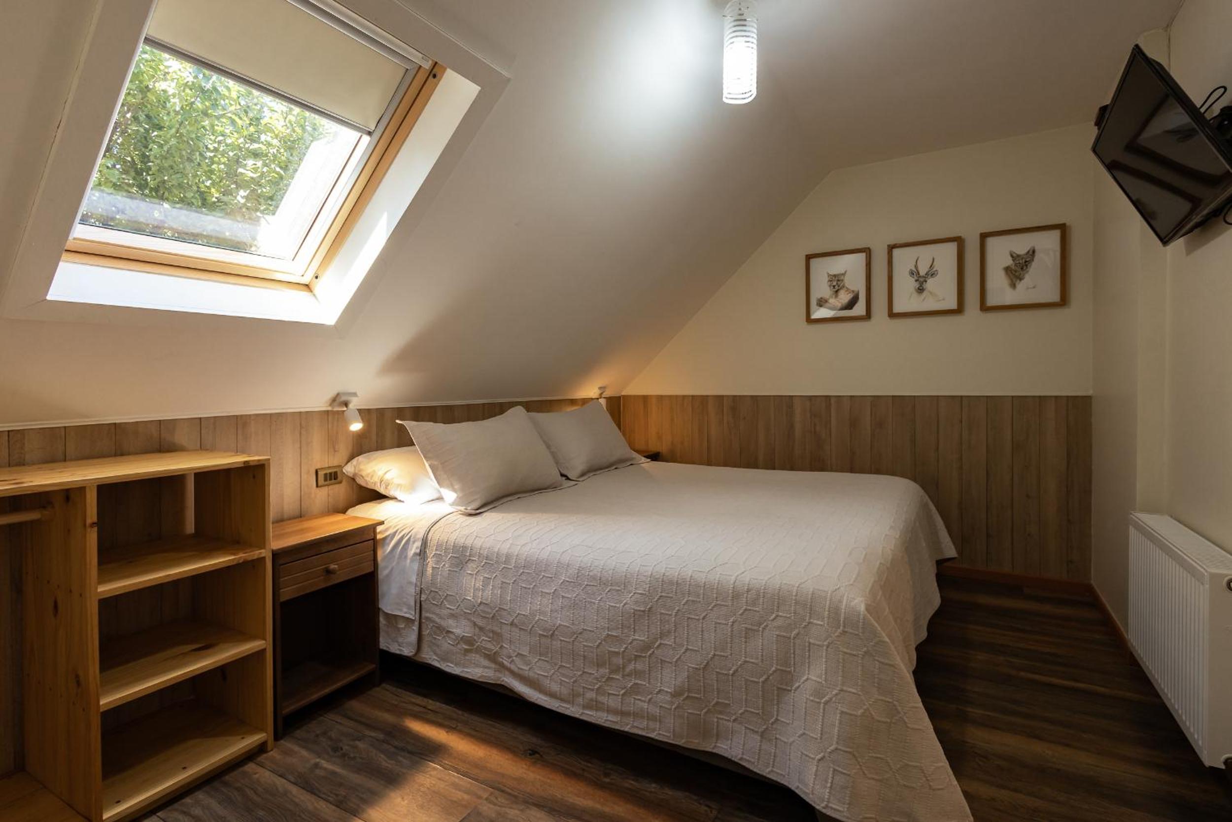 Large Double Room