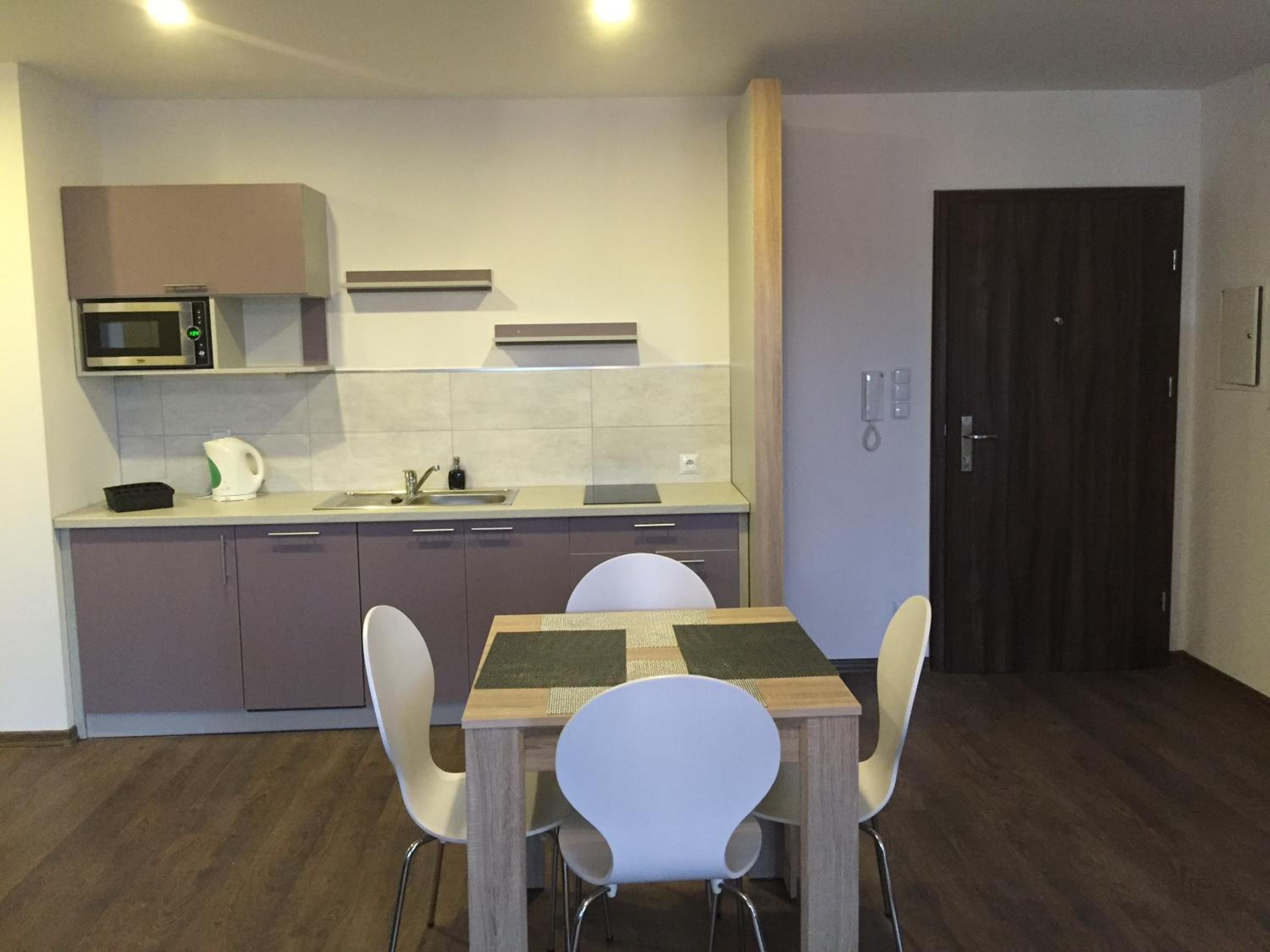 One-Bedroom Apartment - Photo 4