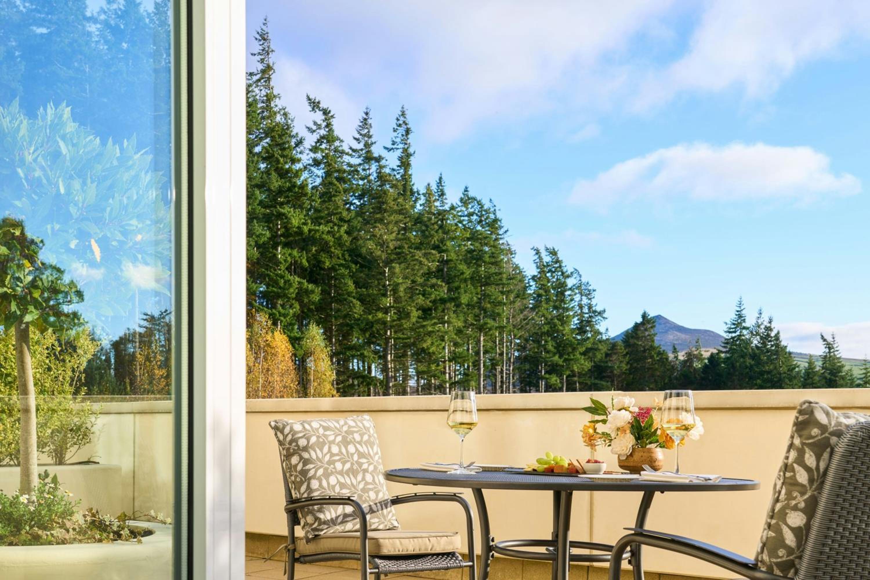 One-Bedroom Double Suite with Mountain View and Balcony