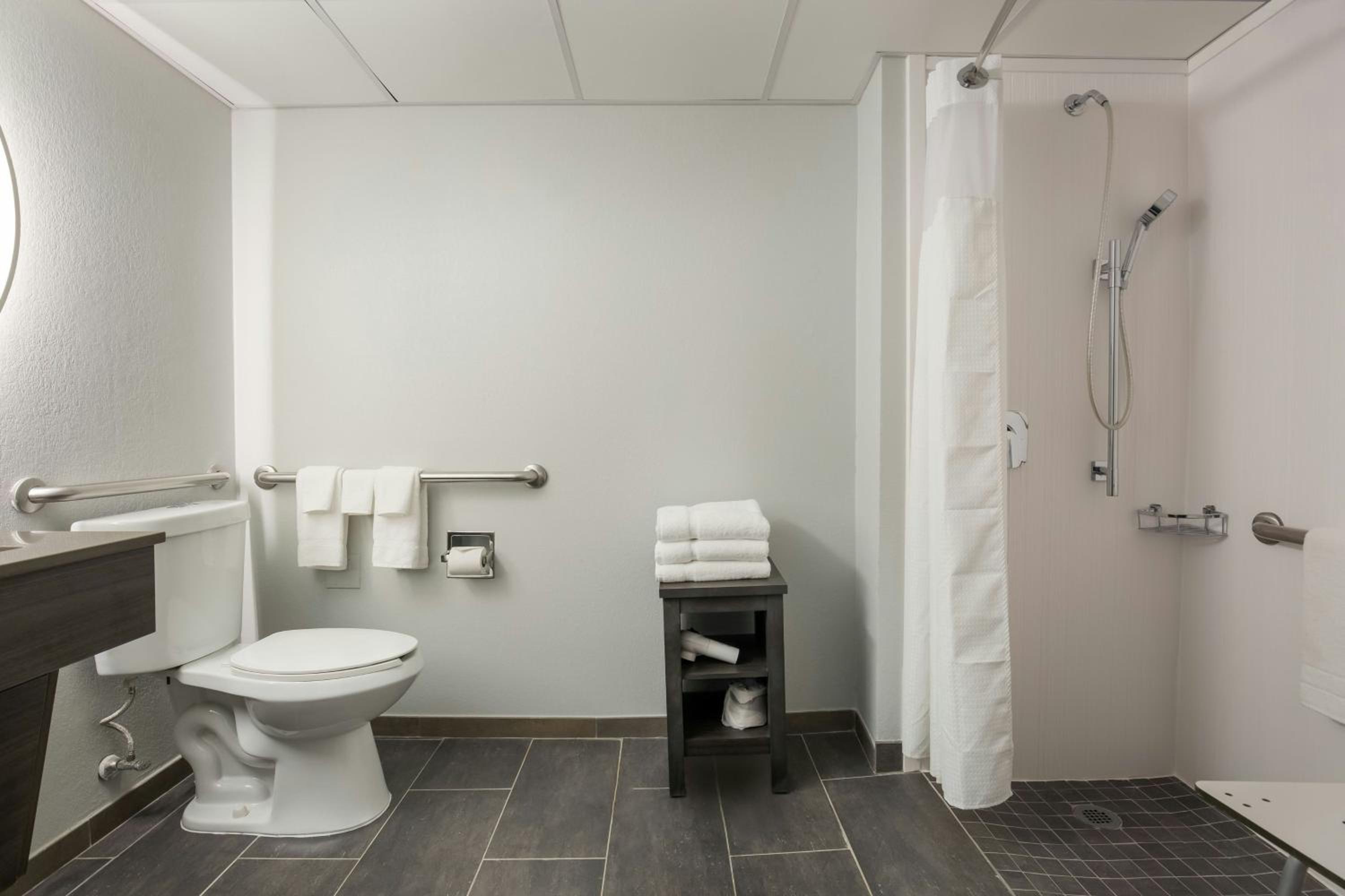 King Room with Roll In Shower - Photo 2