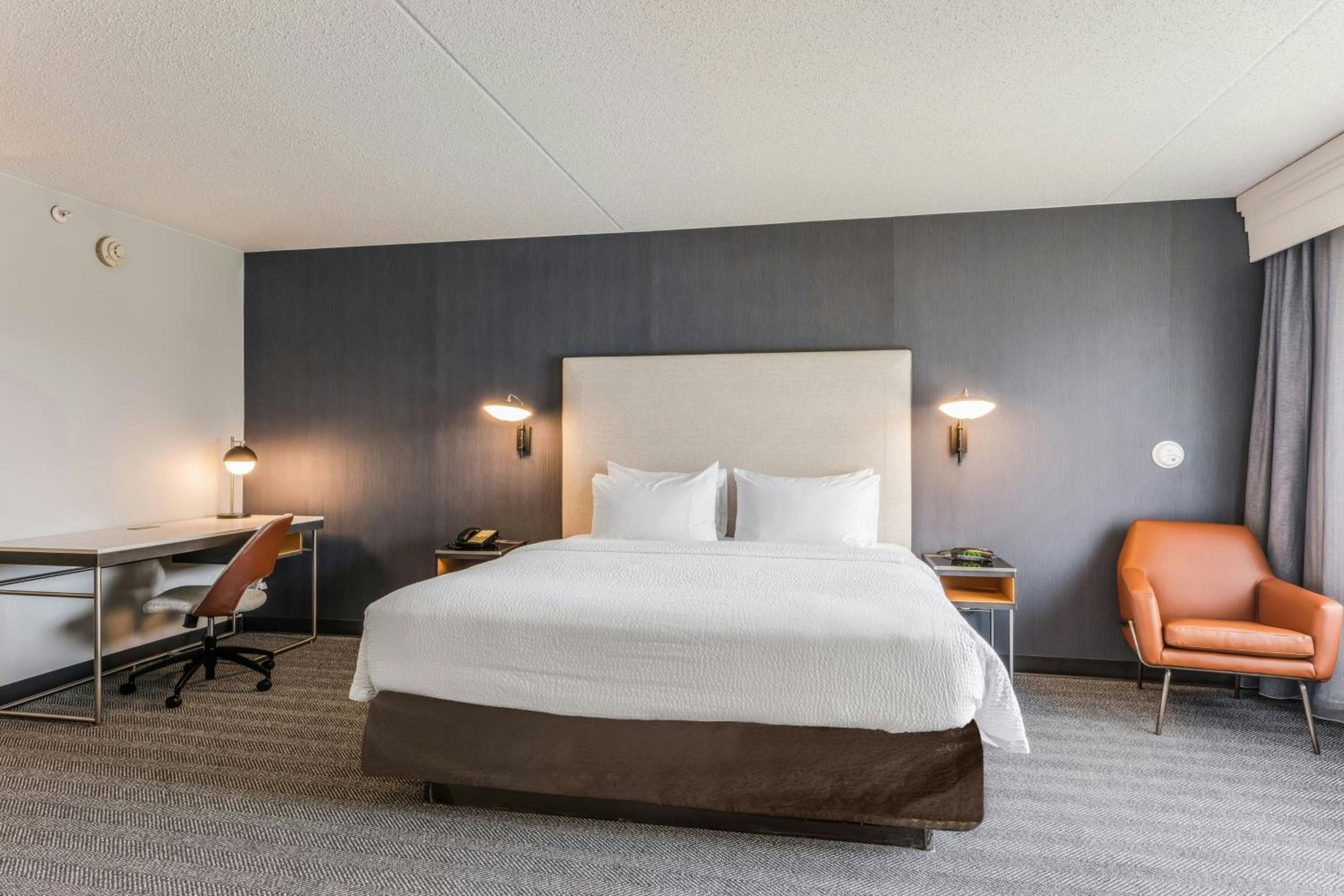 King Suite with Sofa Bed