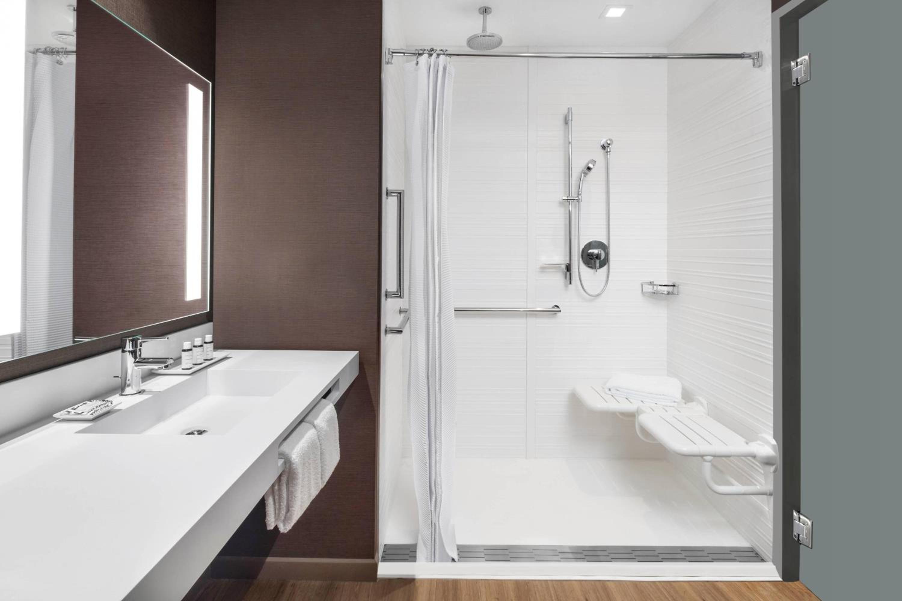 King Room with Roll-In Shower and Sofa Bed - Mobility Access/Hearing Accessible