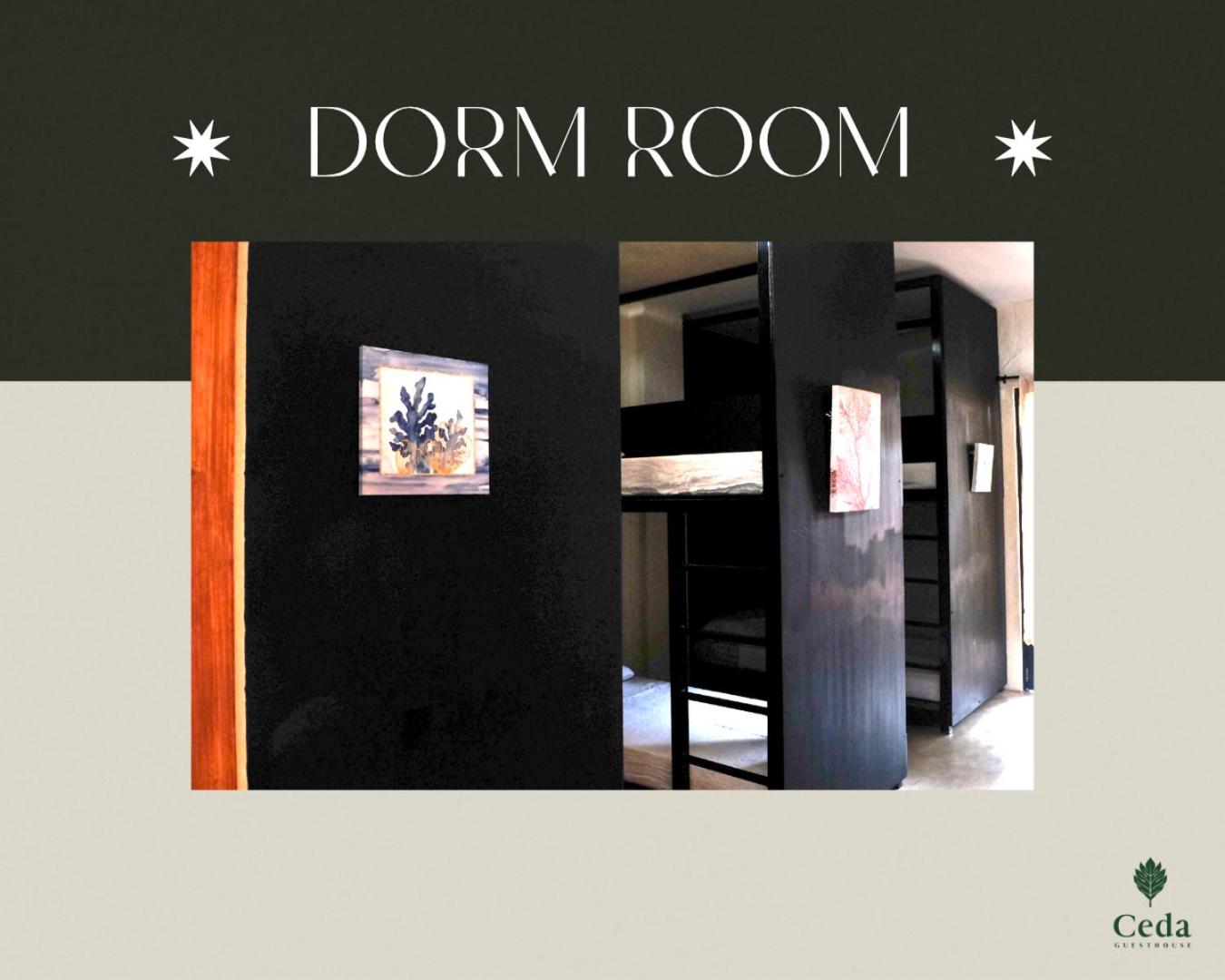 8-Bed Mixed Dormitory Room photo 1