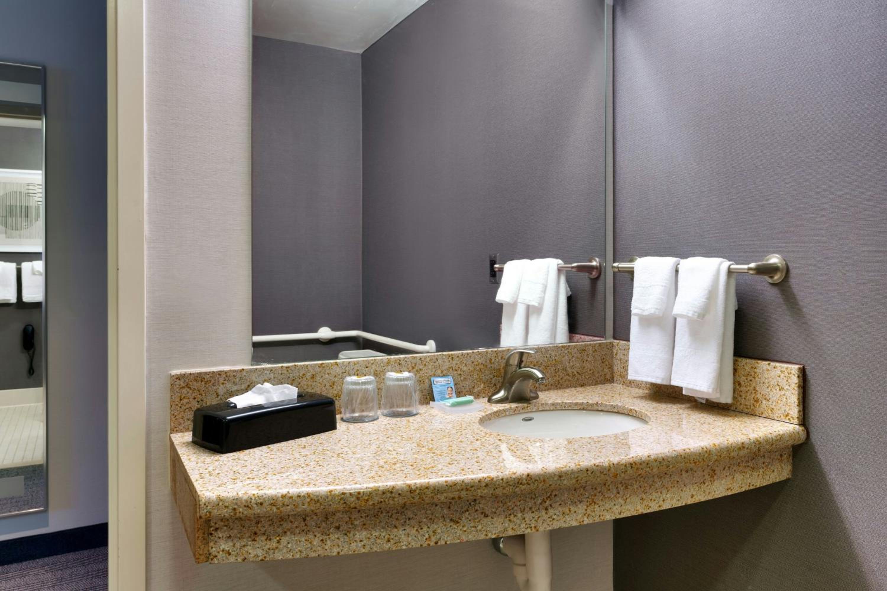 King Room with Roll-In Shower - Mobility Access/Hearing Accessible photo 2