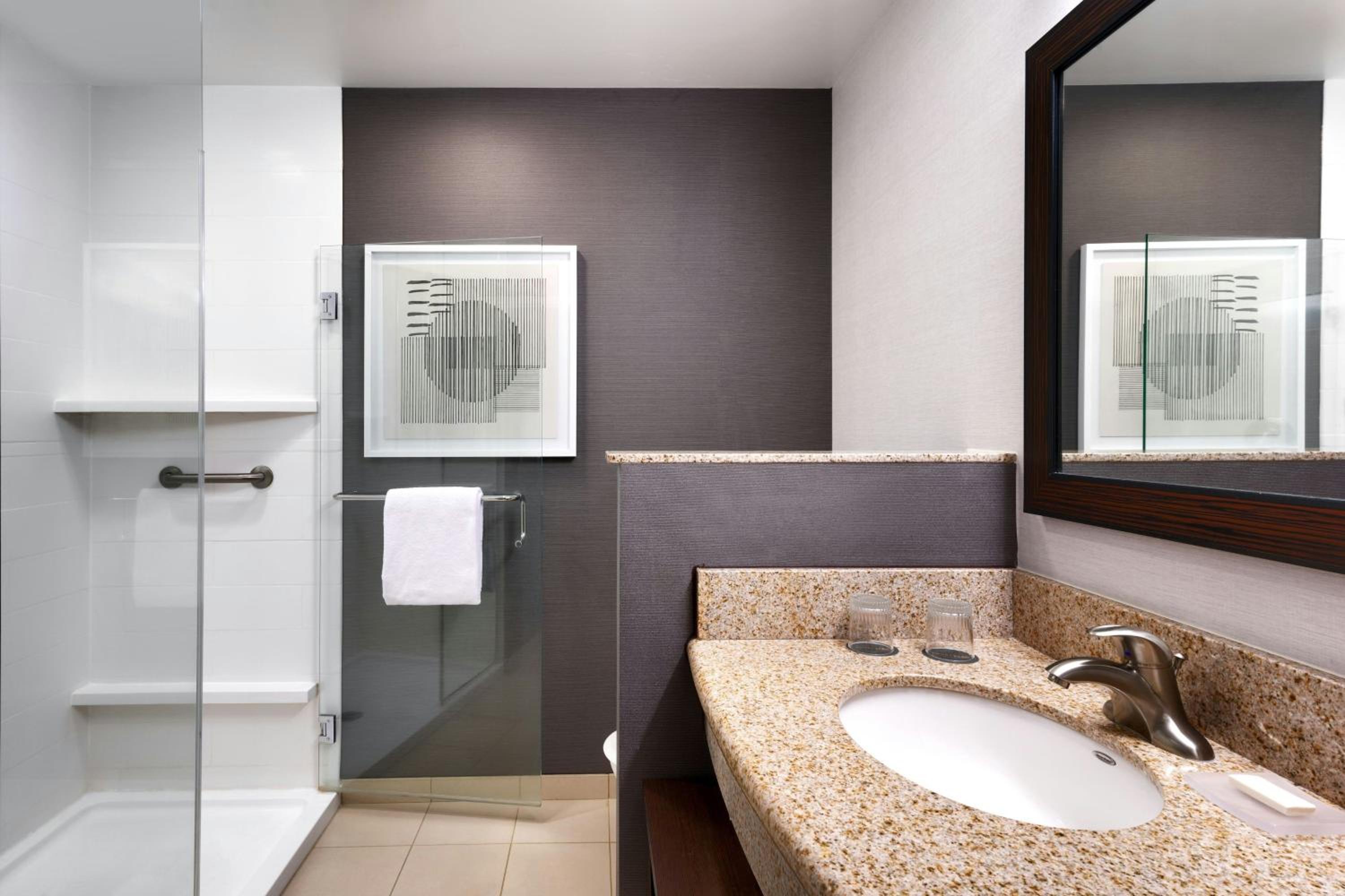 King Room with Roll-In Shower - Mobility Access/Hearing Accessible photo 1