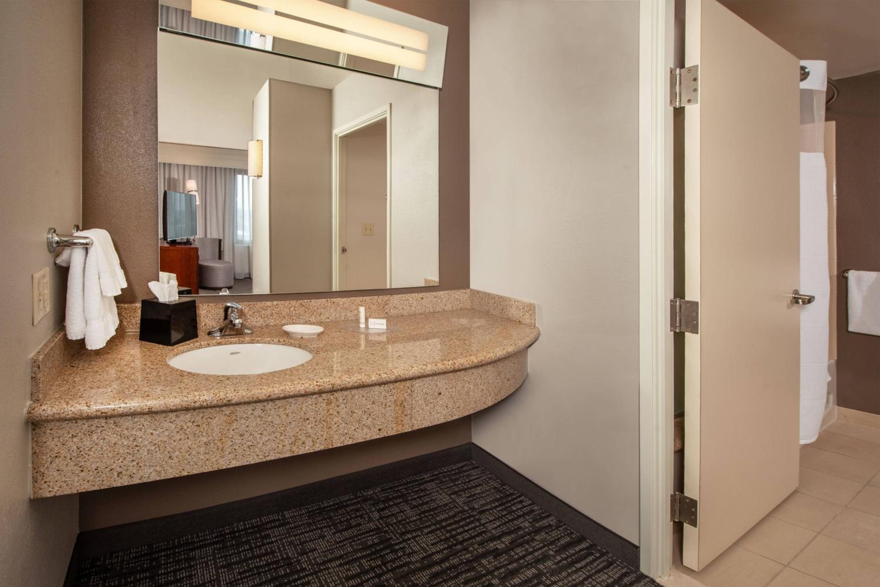 King Suite with Sofa Bed - Photo 5