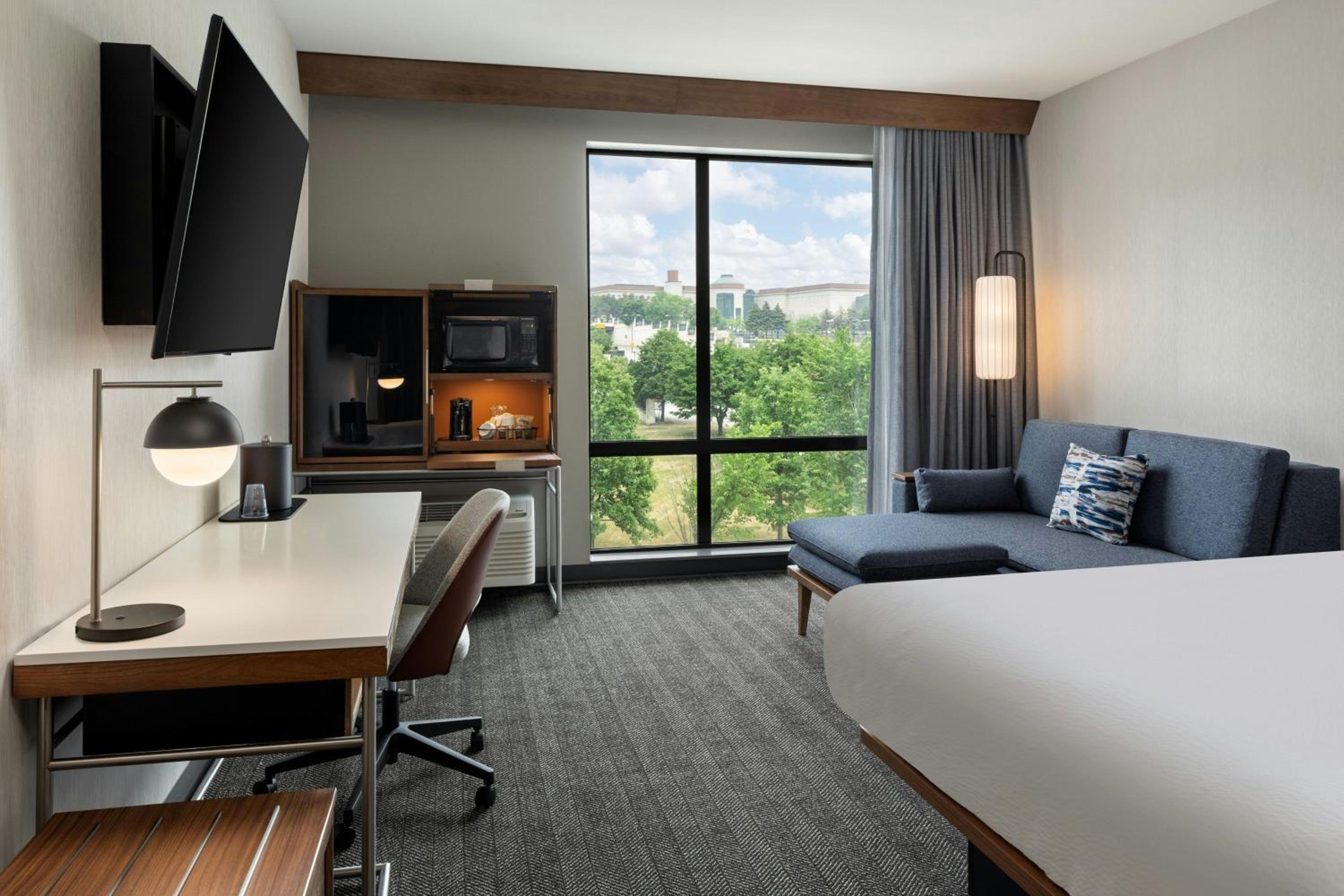 Standard, Guest room, 1 King, Sofa bed (Hearing Accessible) - Photo 3