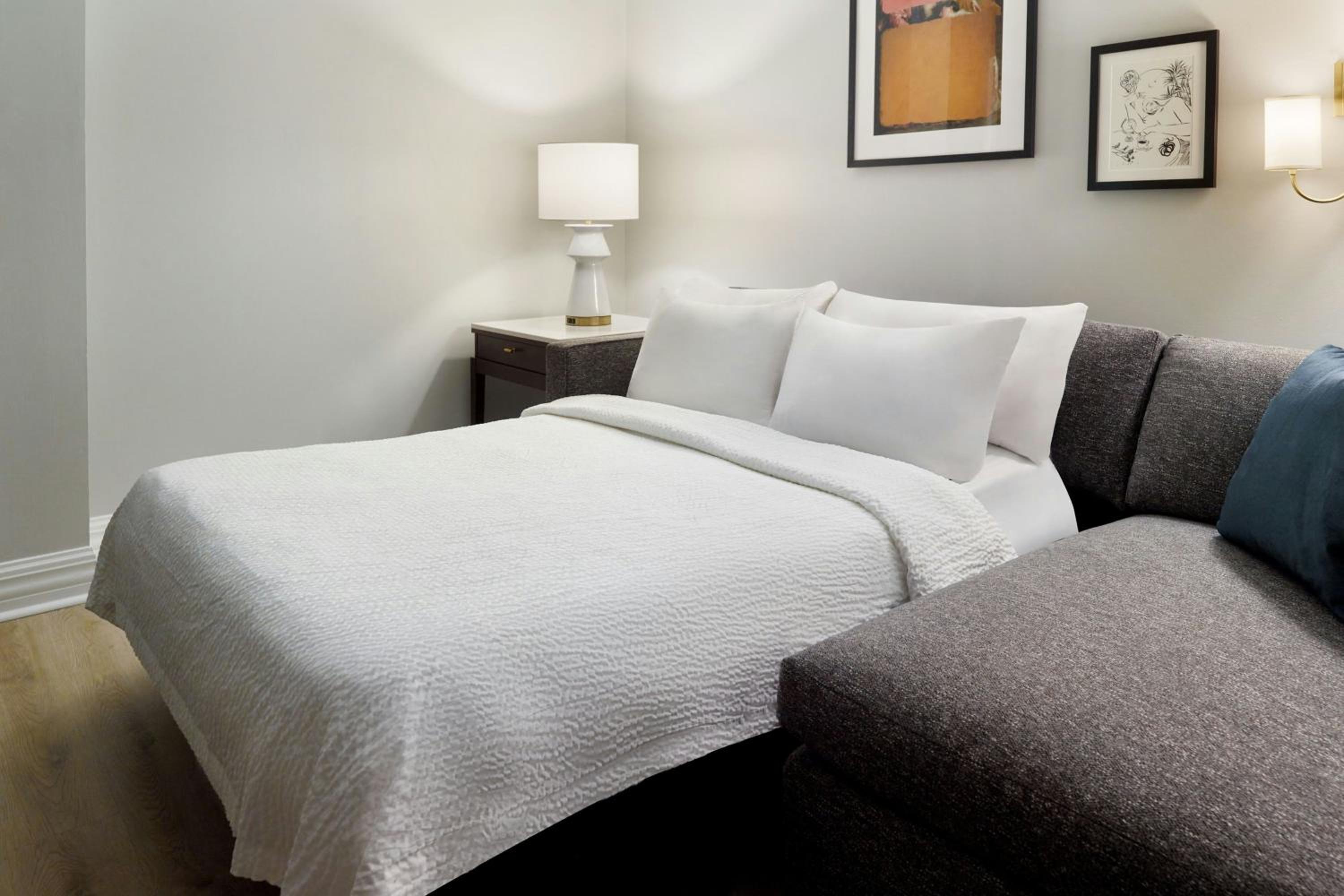 Newly Renovated, Studio Suite, 1 Queen, Sofa bed (Mobility Accessible w/Roll-in Shower) - Photo 2