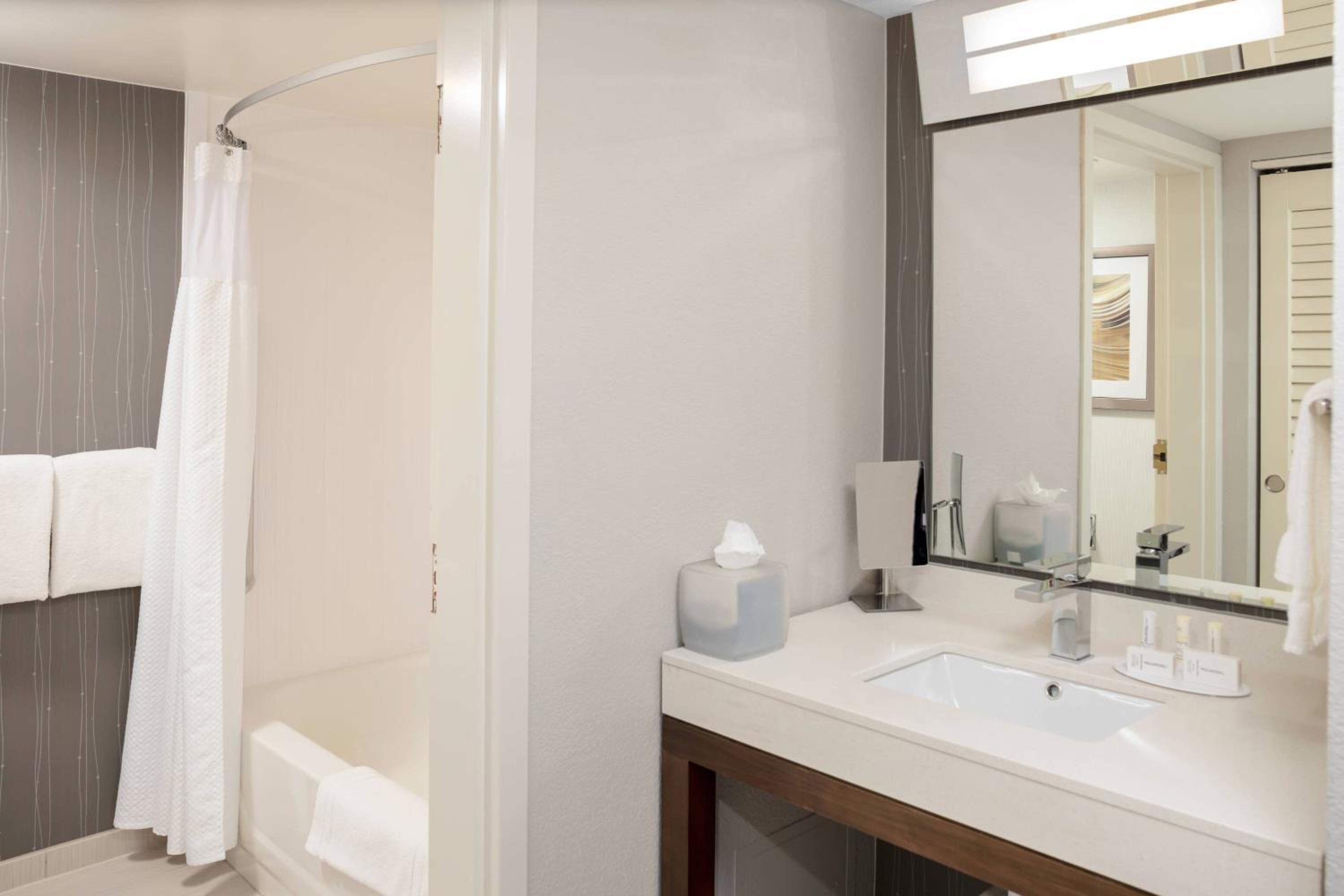 King Guest Room, Guest room, 1 King, Sofa bed (Mobility and Hearing Accessible w/Tub) - Photo 6