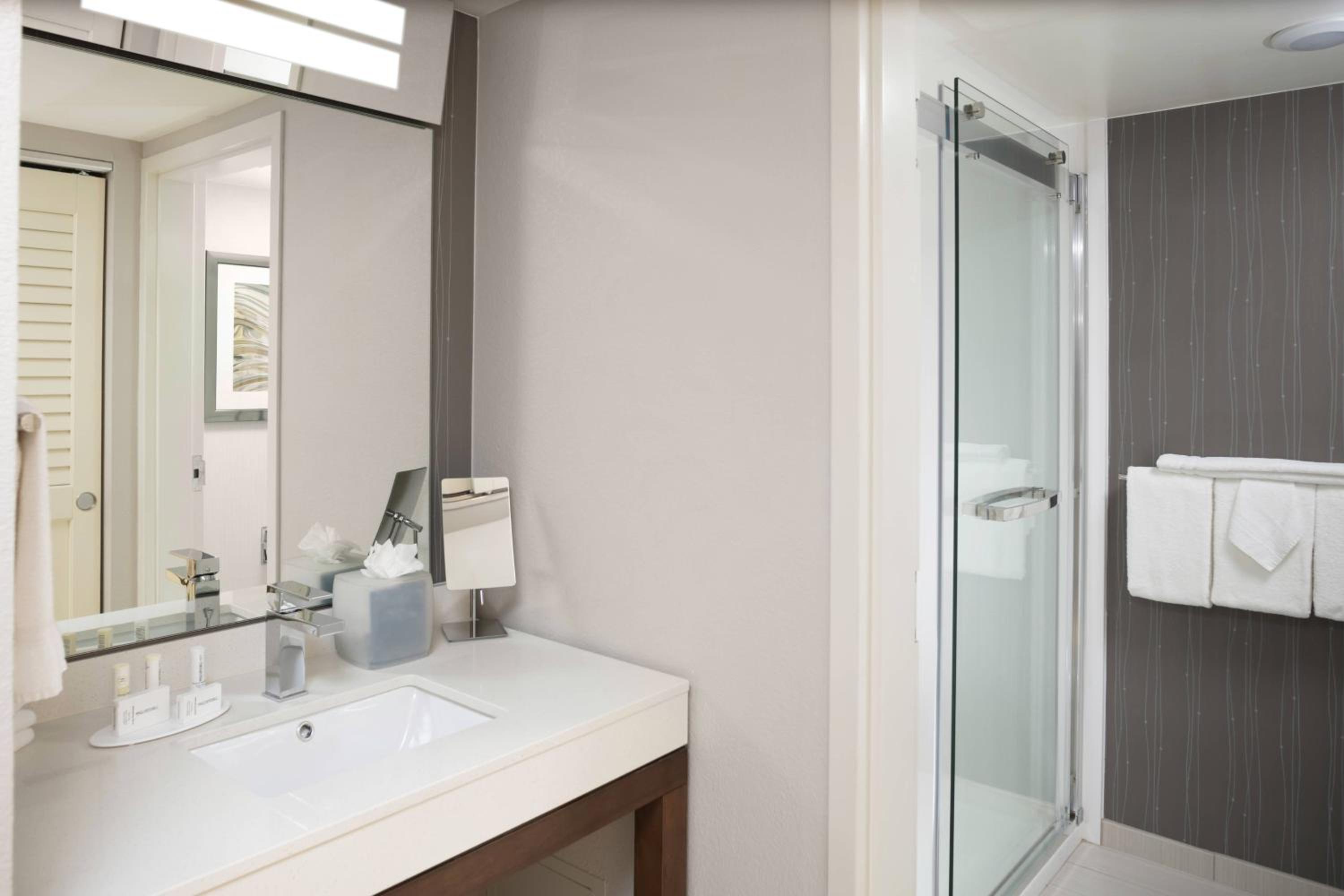 King Room with Roll-In Shower - Mobility Access/Hearing Accessible - Photo 6