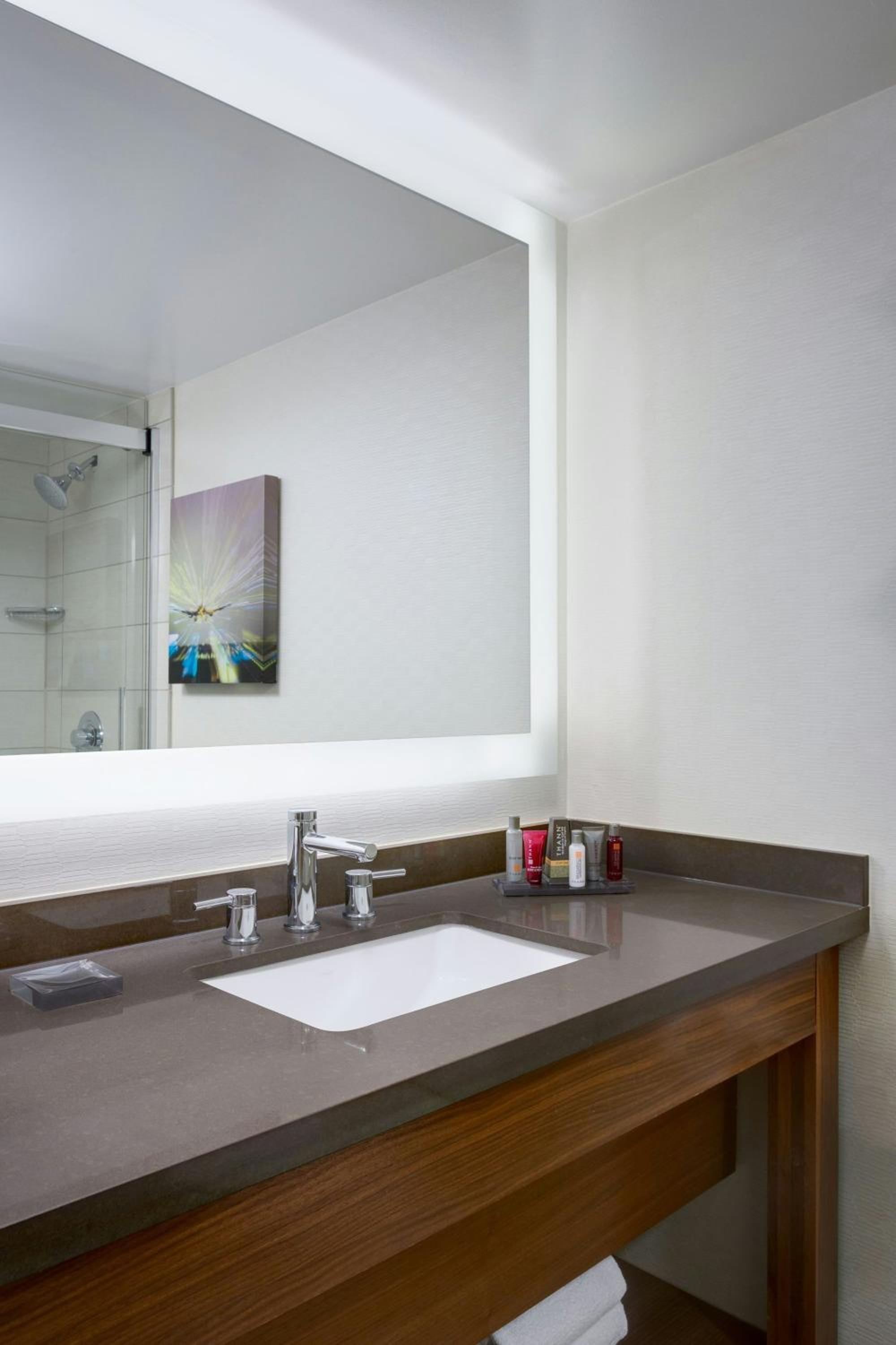 King Room with Roll-in Shower - Mobility and Hearing Accessible photo 3