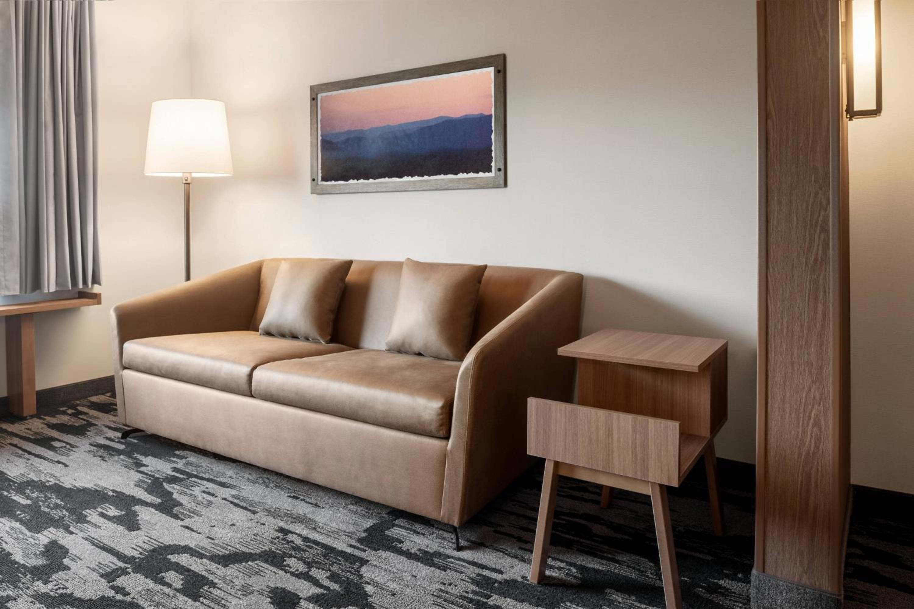 King Suite with Sitting Area and Sofa Bed - Photo 4