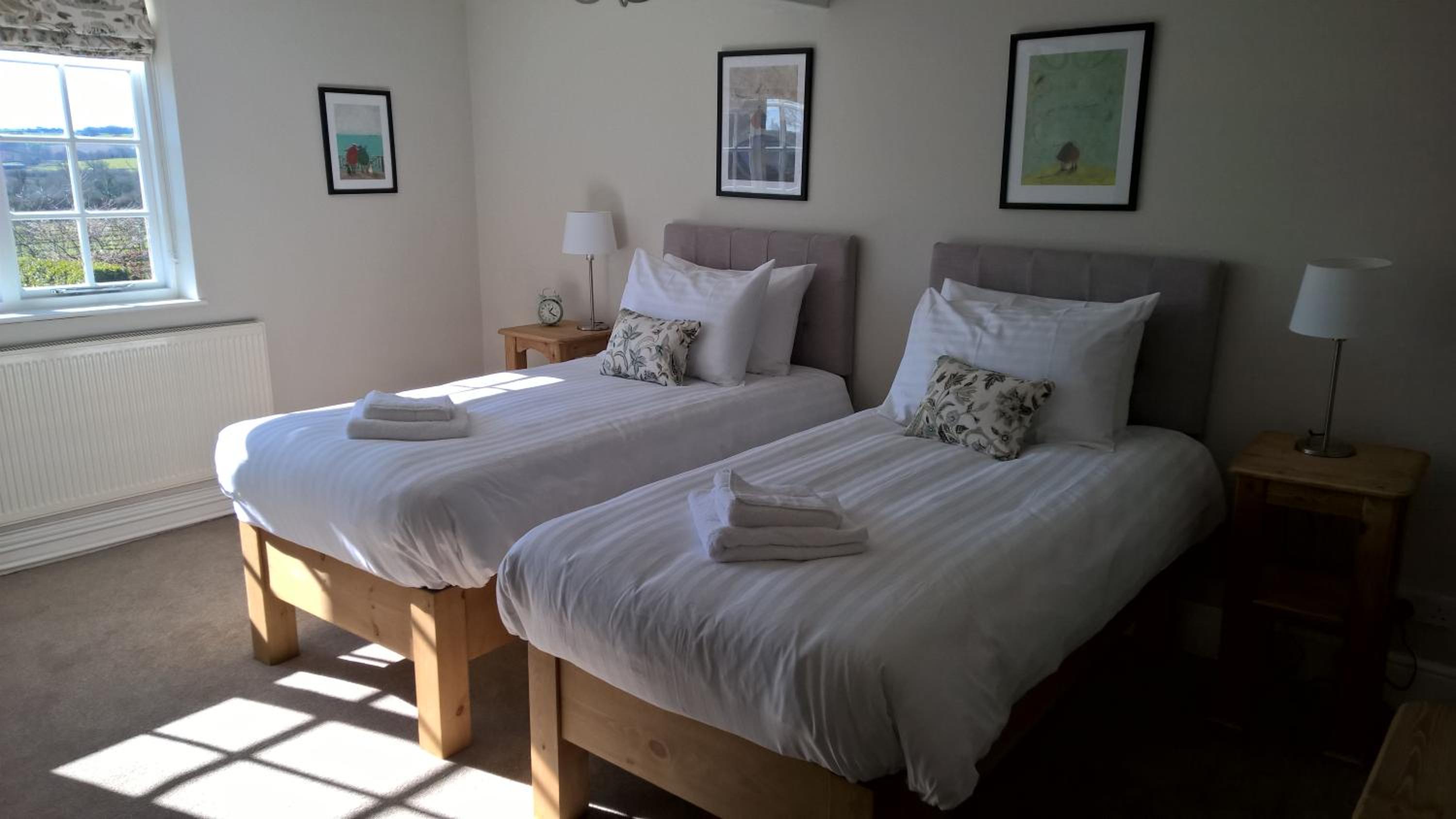 Superior Double or Twin Room photo 1