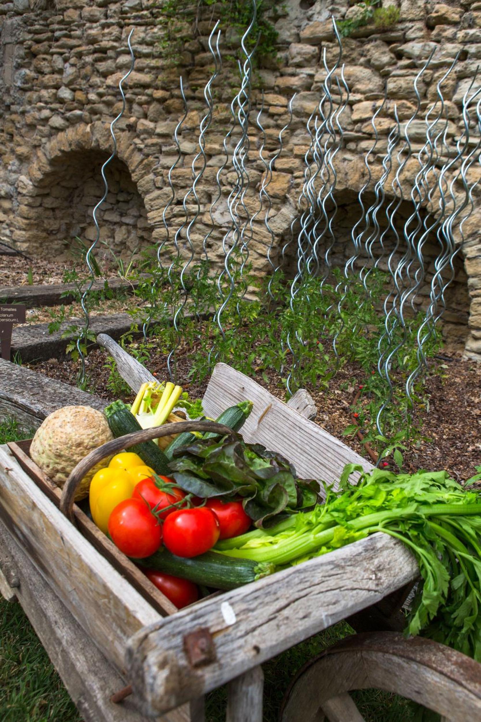 Suite Garden Side - Spring Side  photo 3