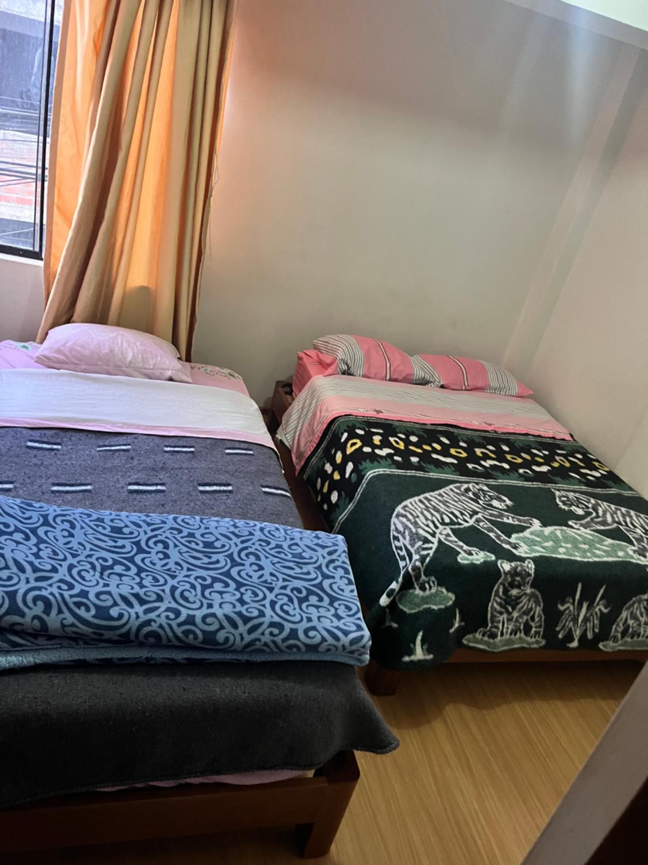 Twin Room photo 3