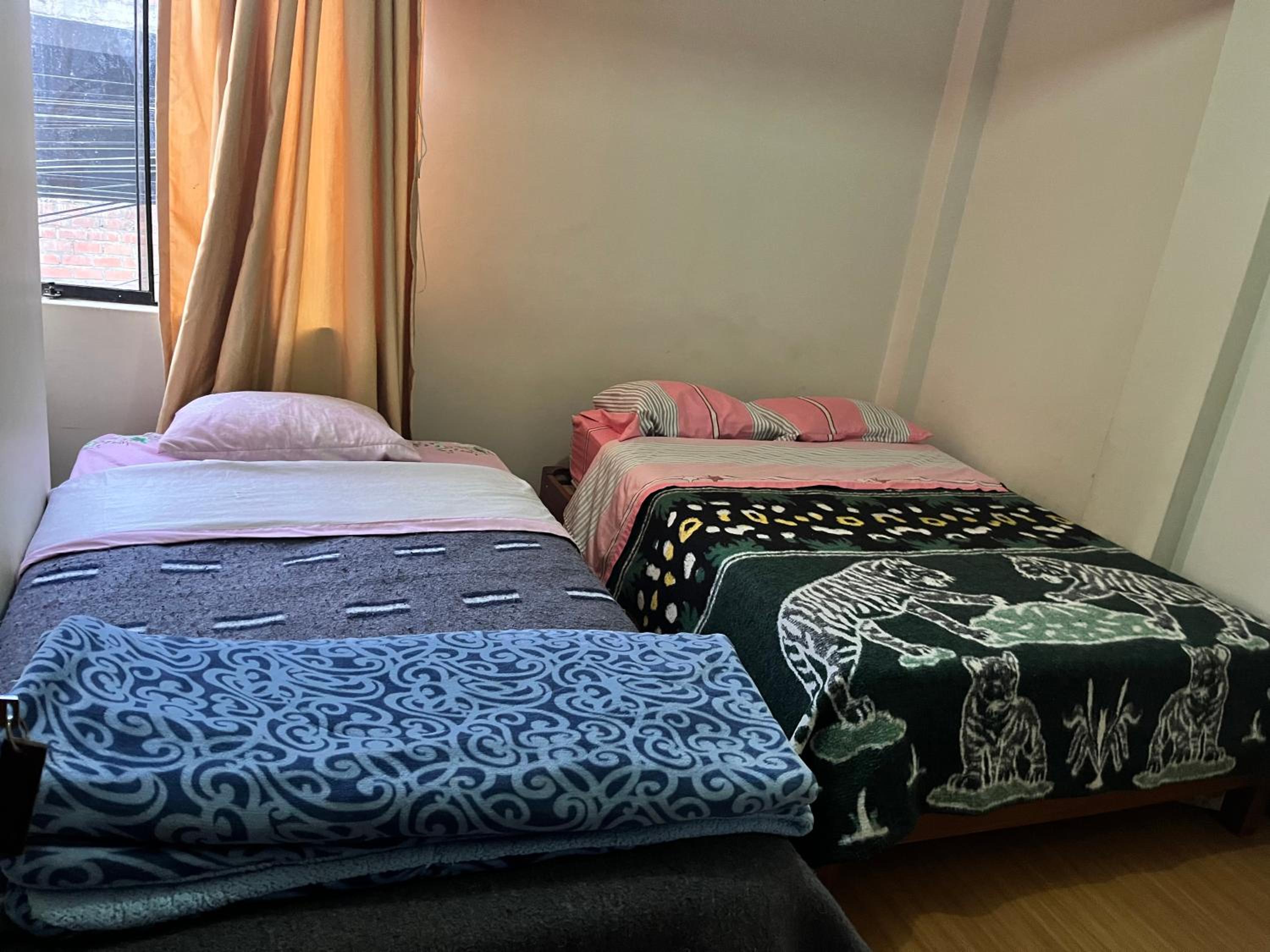 Twin Room photo 2