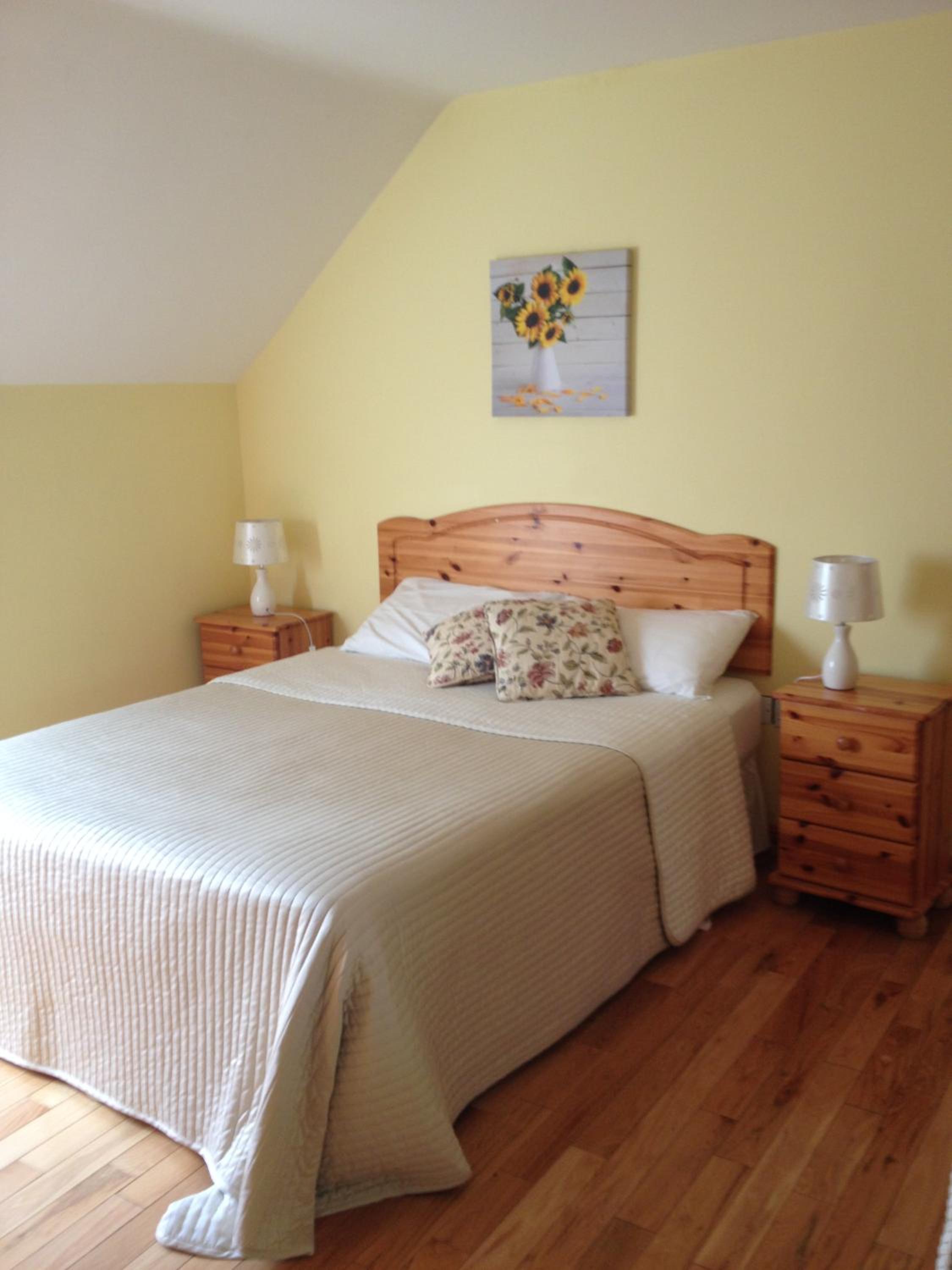 Deluxe Double or Twin Room with Mountain View photo 1