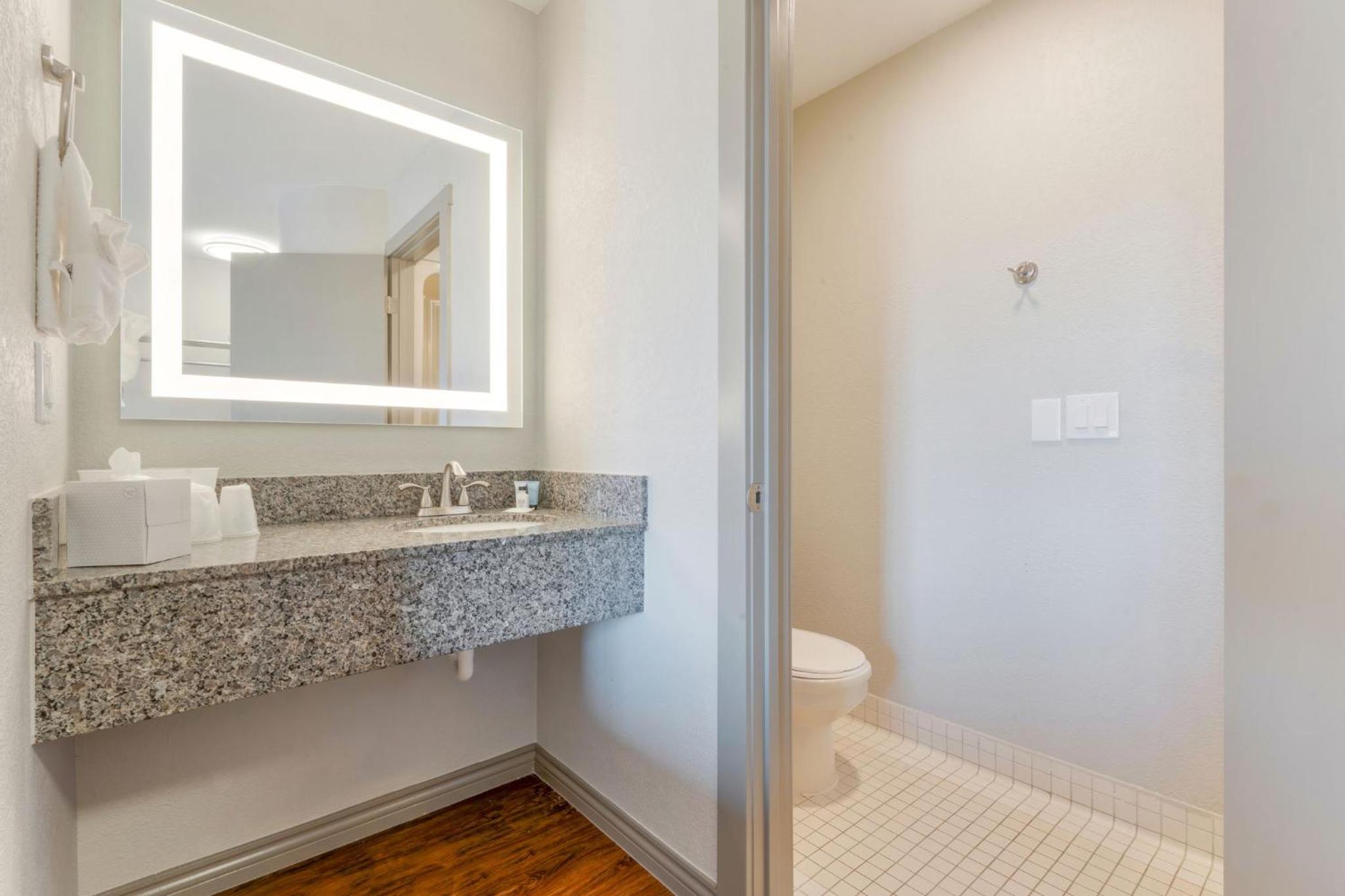 King Room with Roll-in Shower - Mobility Access/Non-Smoking - Photo 1