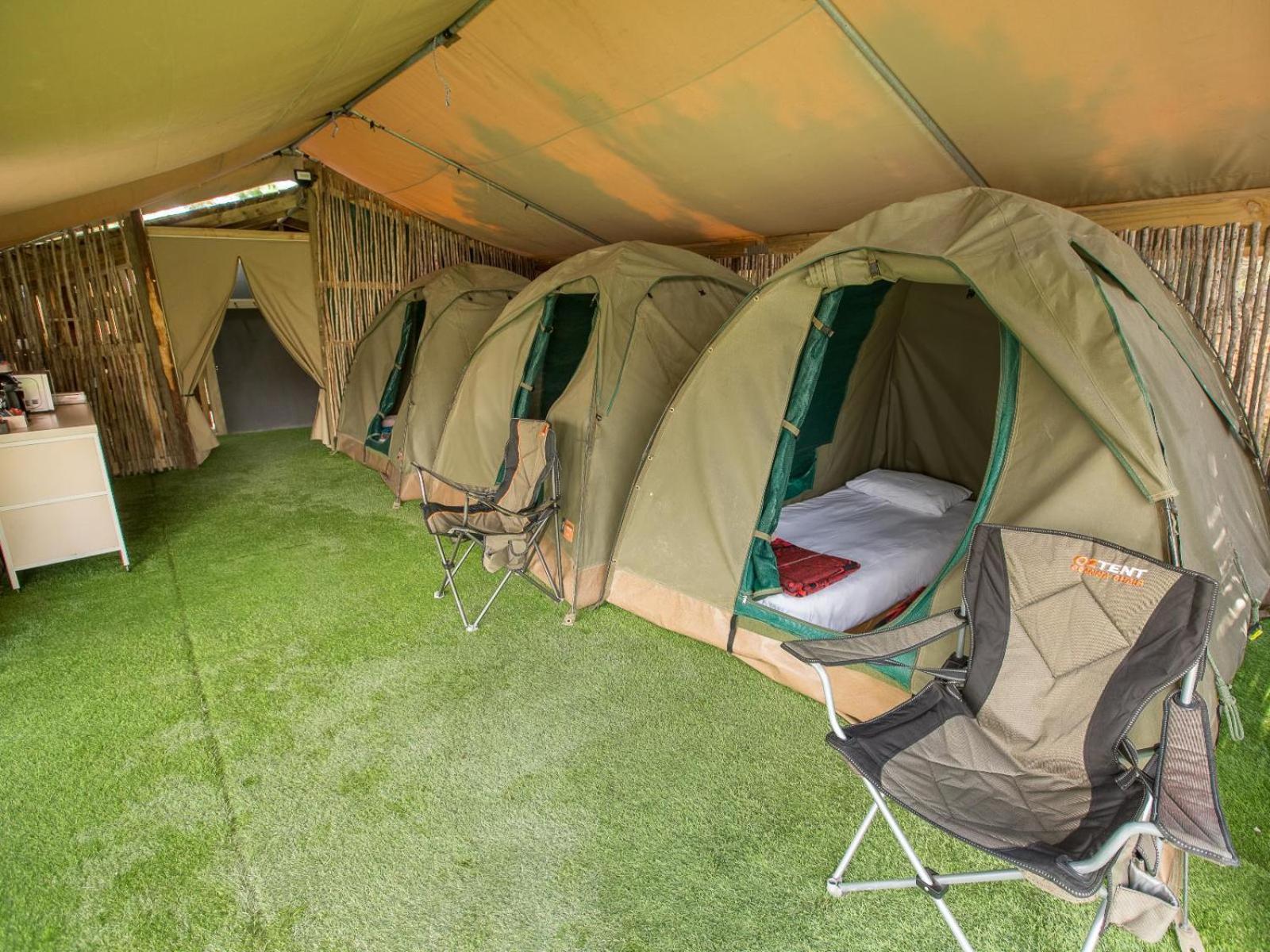 Standard Tent photo 2