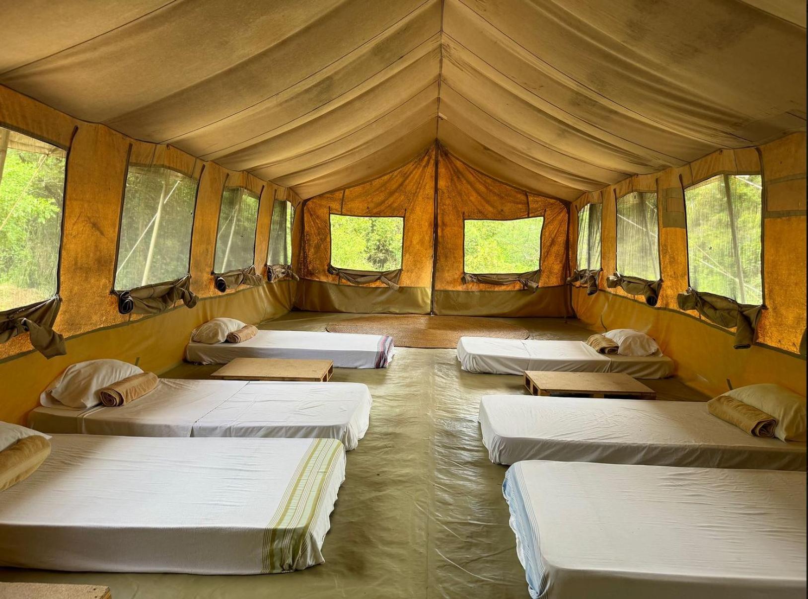 Single Bed in Mixed Dormitory Room photo 1