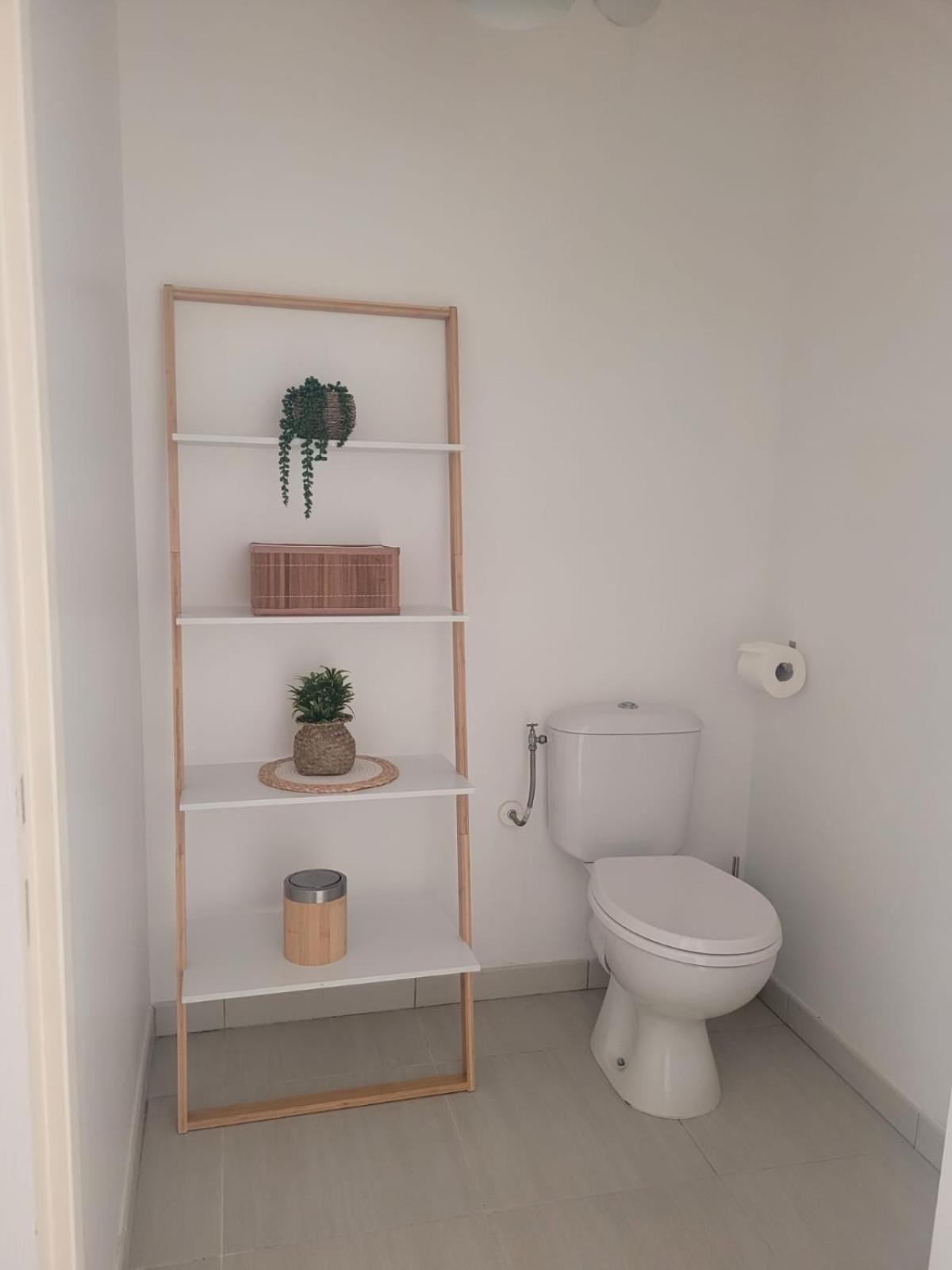 Appartement 1 Chambre