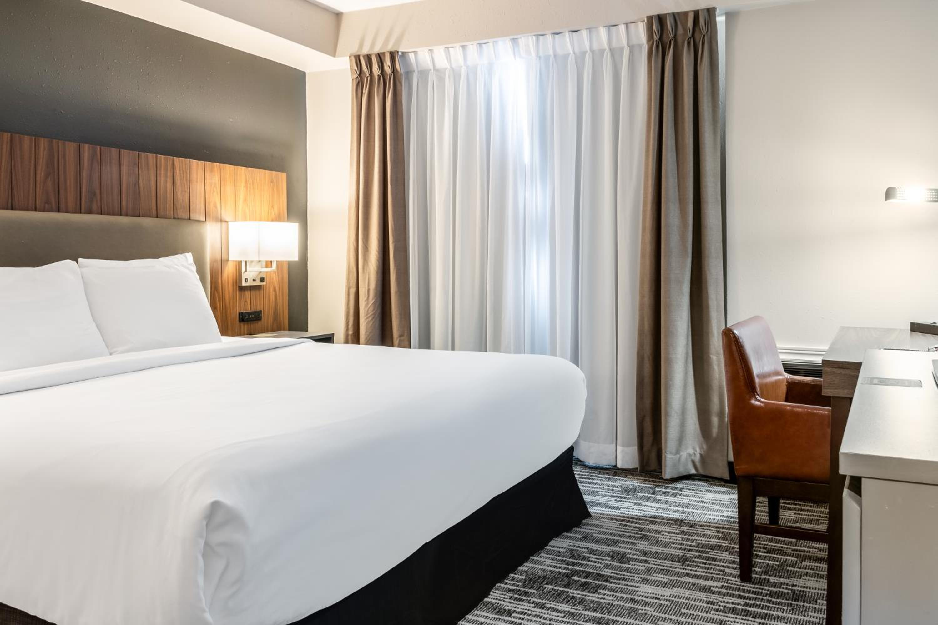 Executive Suite