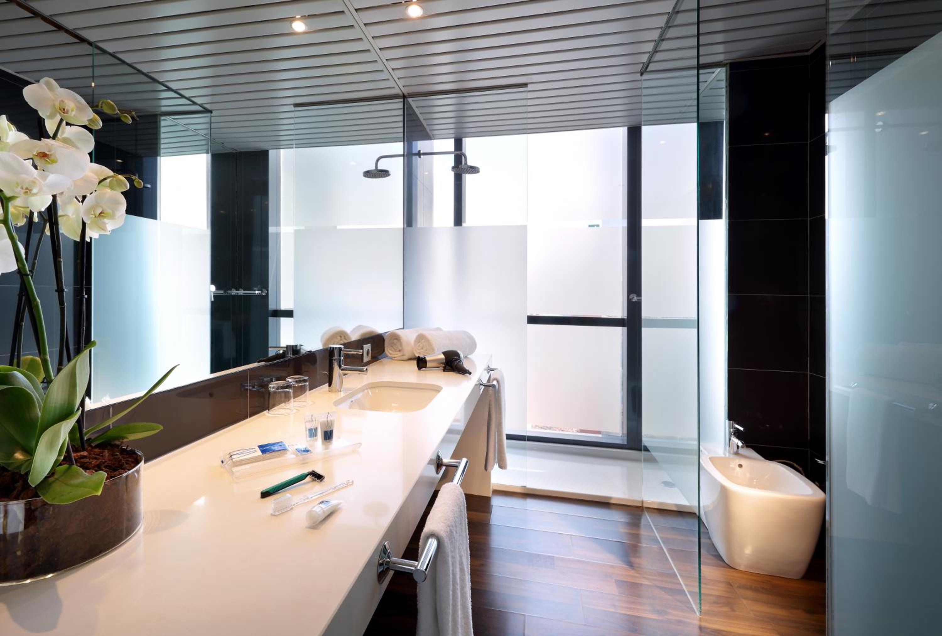Executive Twin Room
