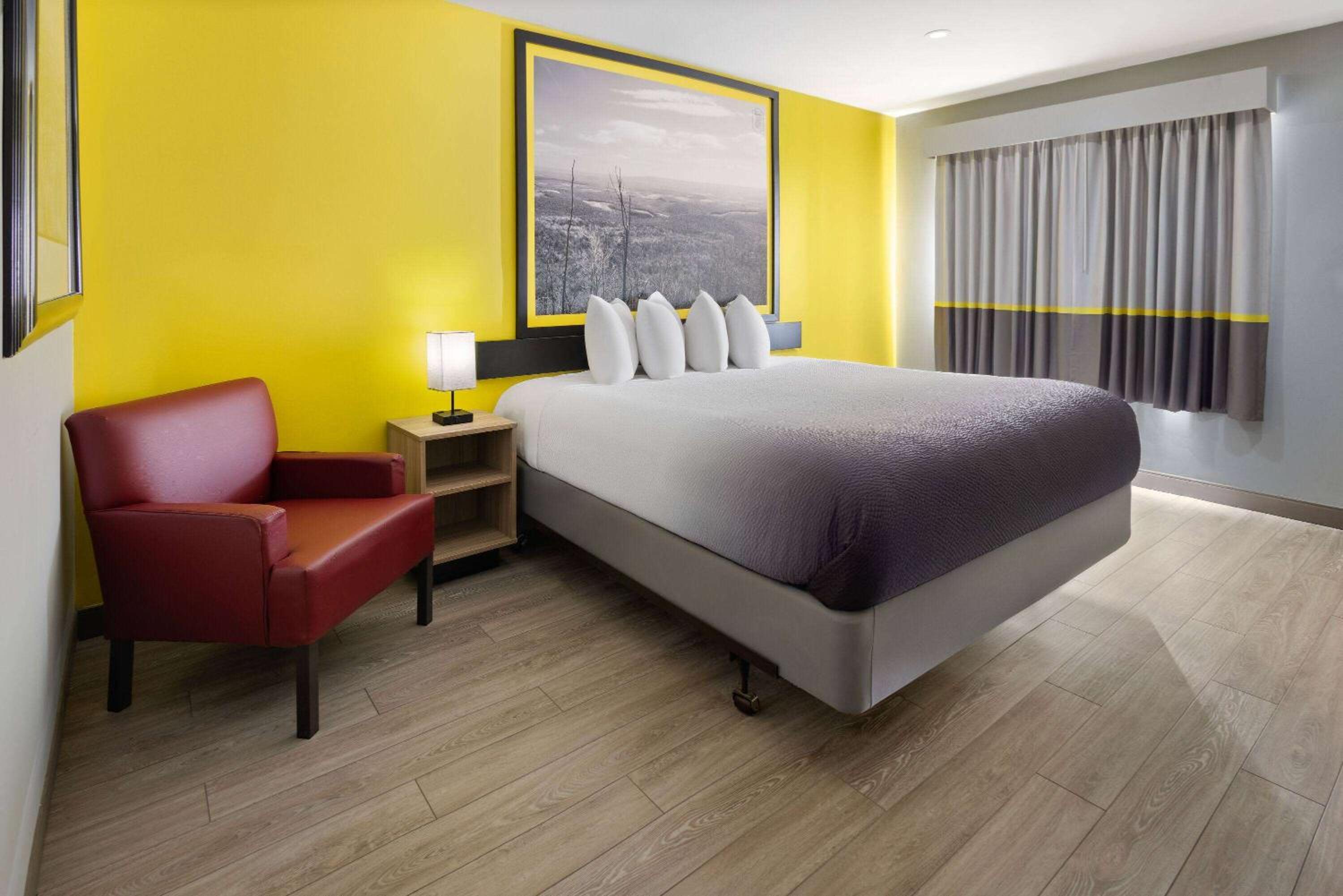 King Room with Mobility Access and Bathtub with Grab Bars, Non-Smoking photo 2