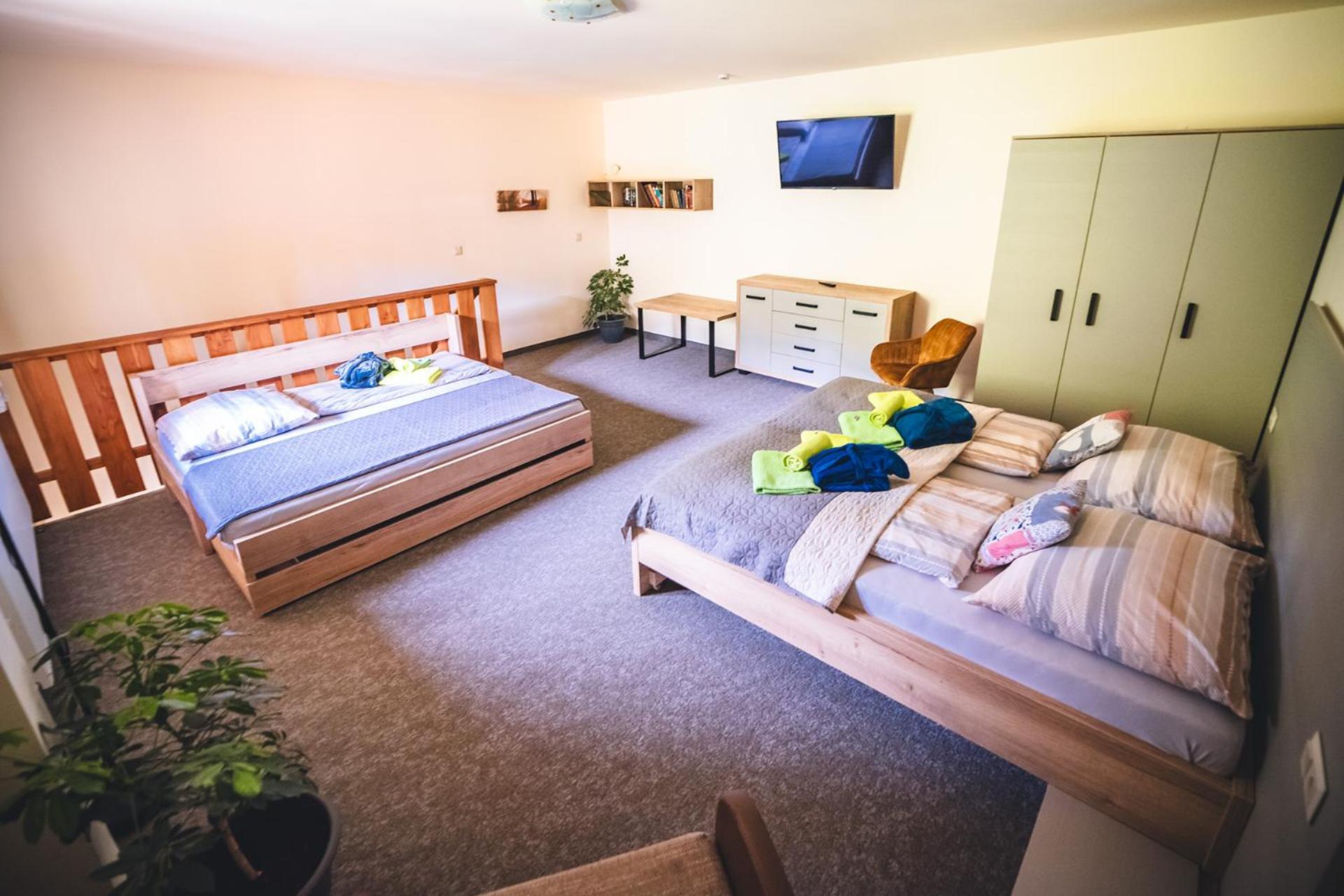 One-Bedroom Deluxe Apartment photo 2