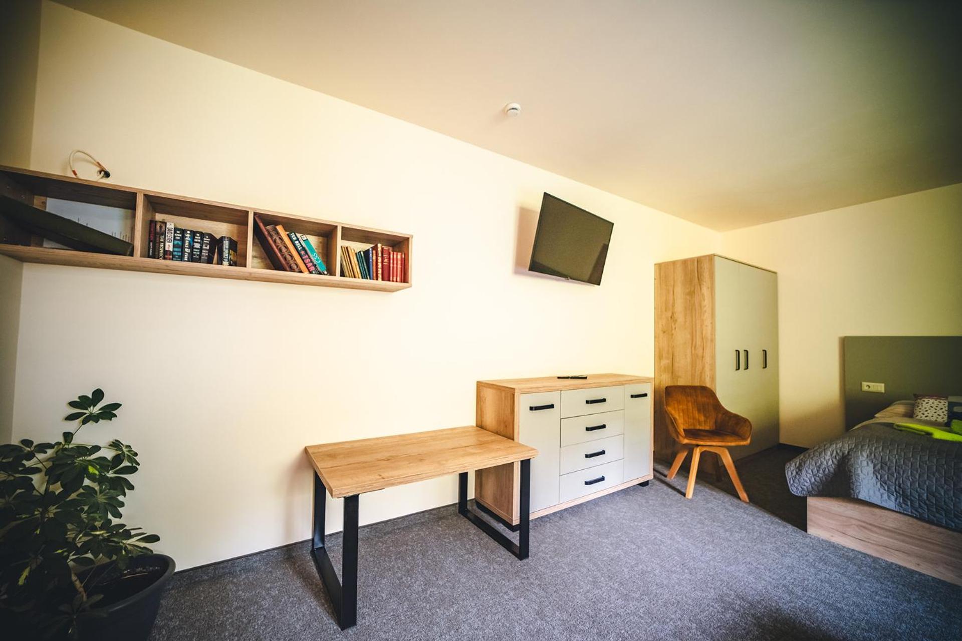 One-Bedroom Deluxe Apartment photo 3