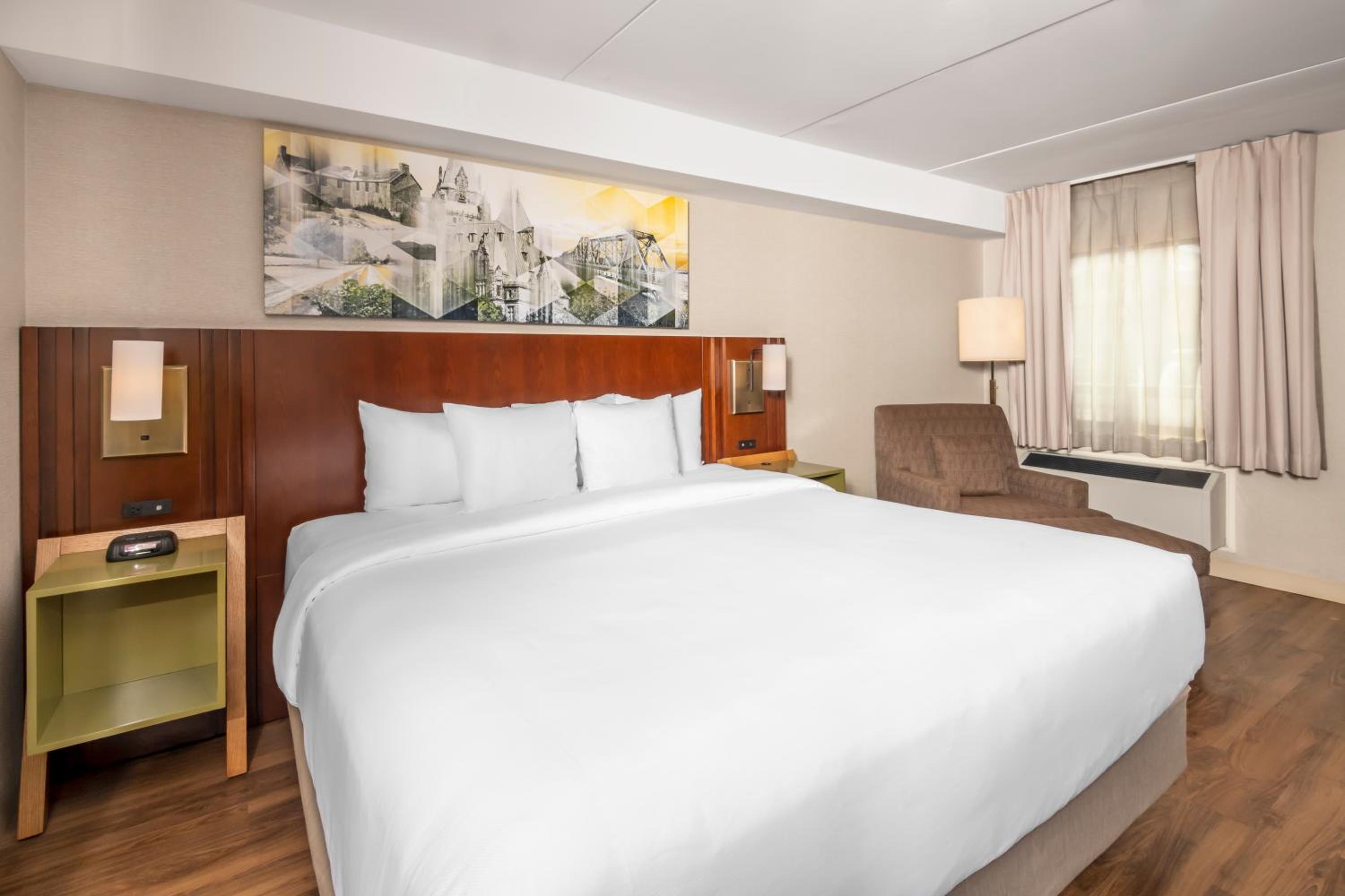 King Suite - Pet Friendly