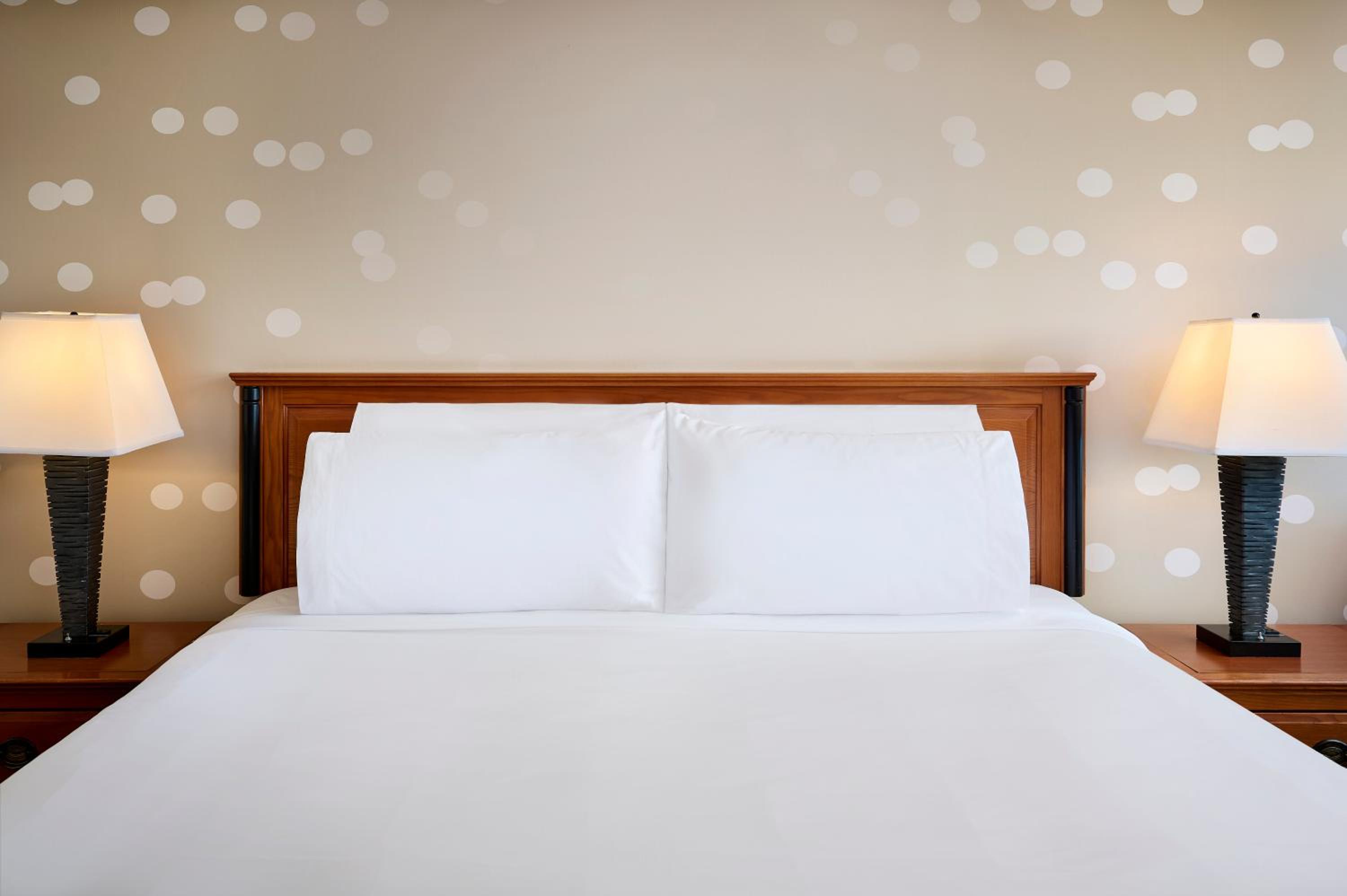 King Suite with Sofa Bed - Photo 3