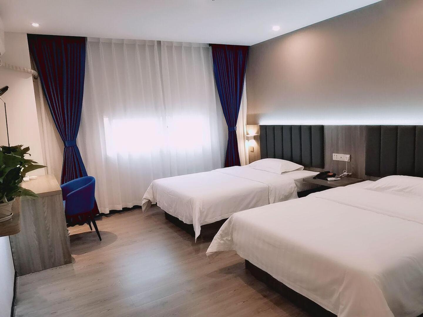 Comfortable Twin Room photo 1