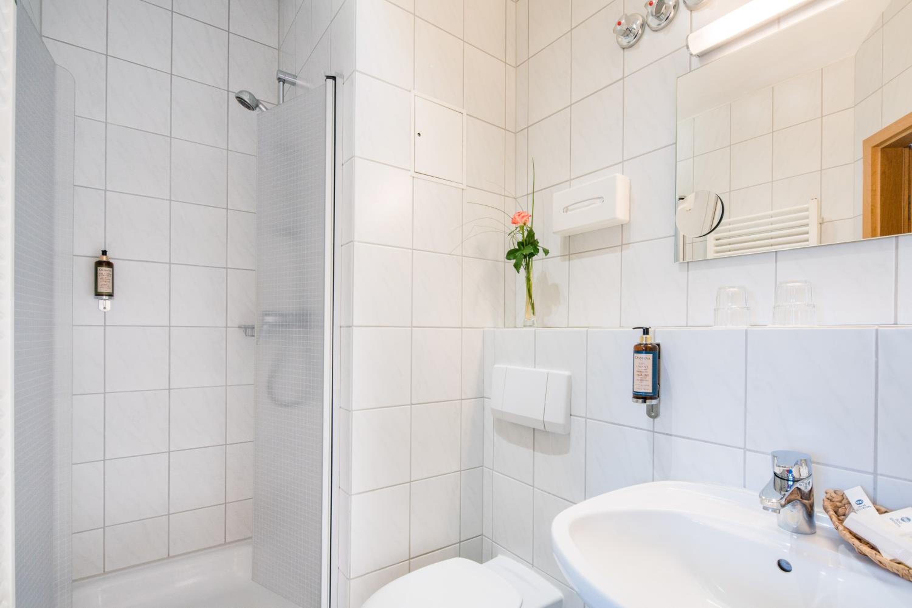 Budget Double or Twin Room in the attic