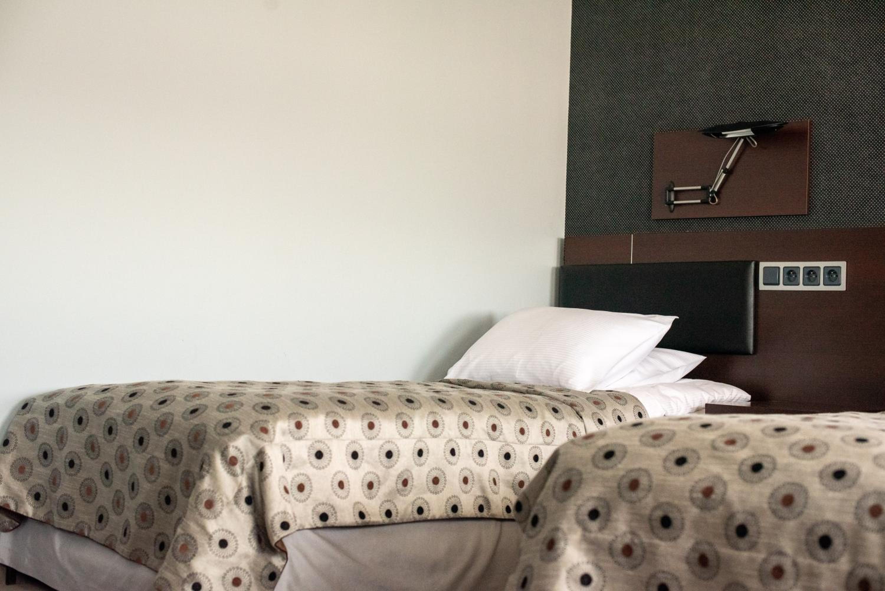 Large Twin Room photo 2