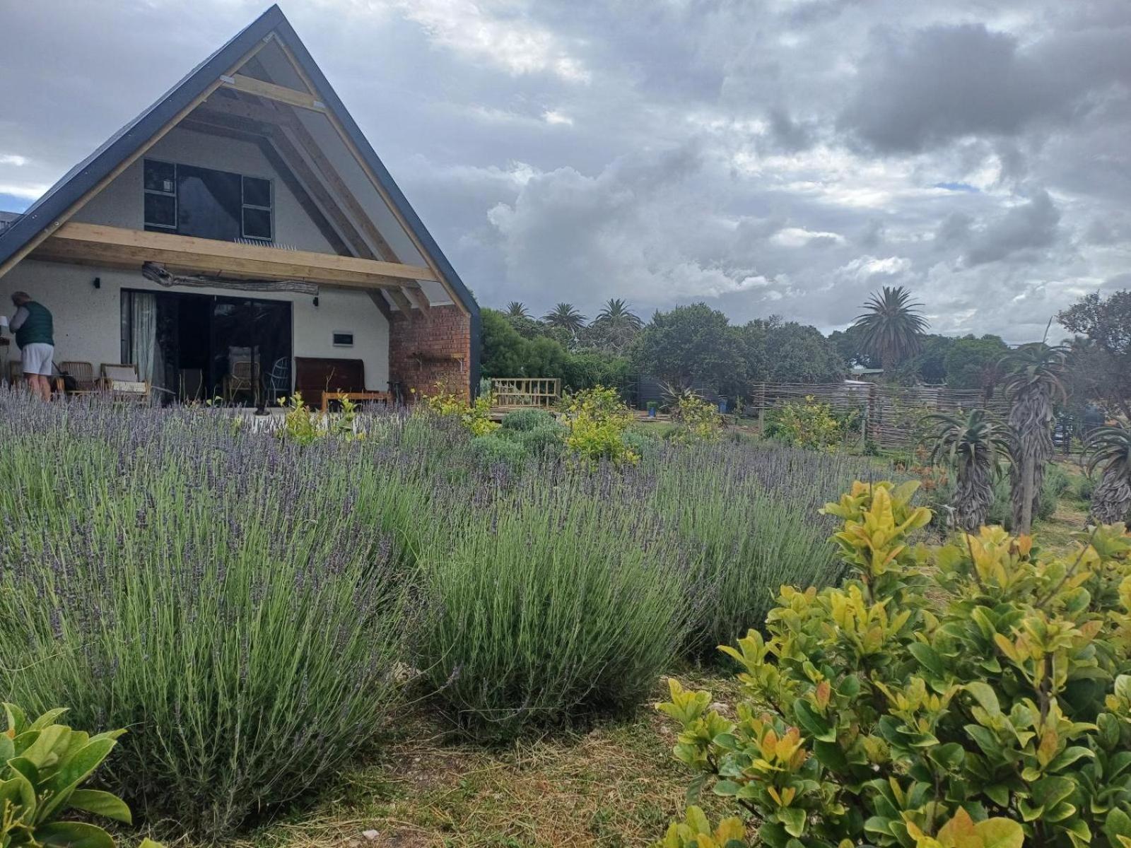 Deluxe Holiday Home photo 1