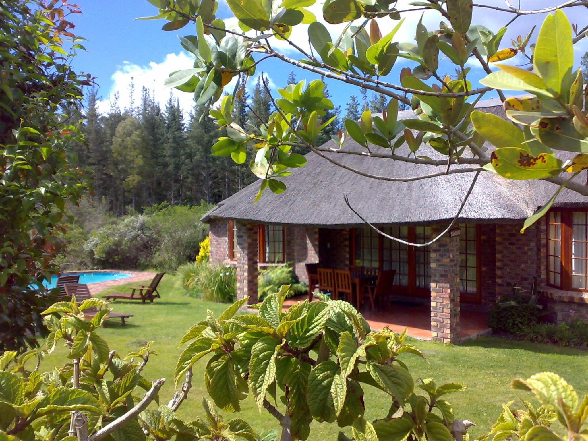 Superior Chalet - Photo 14