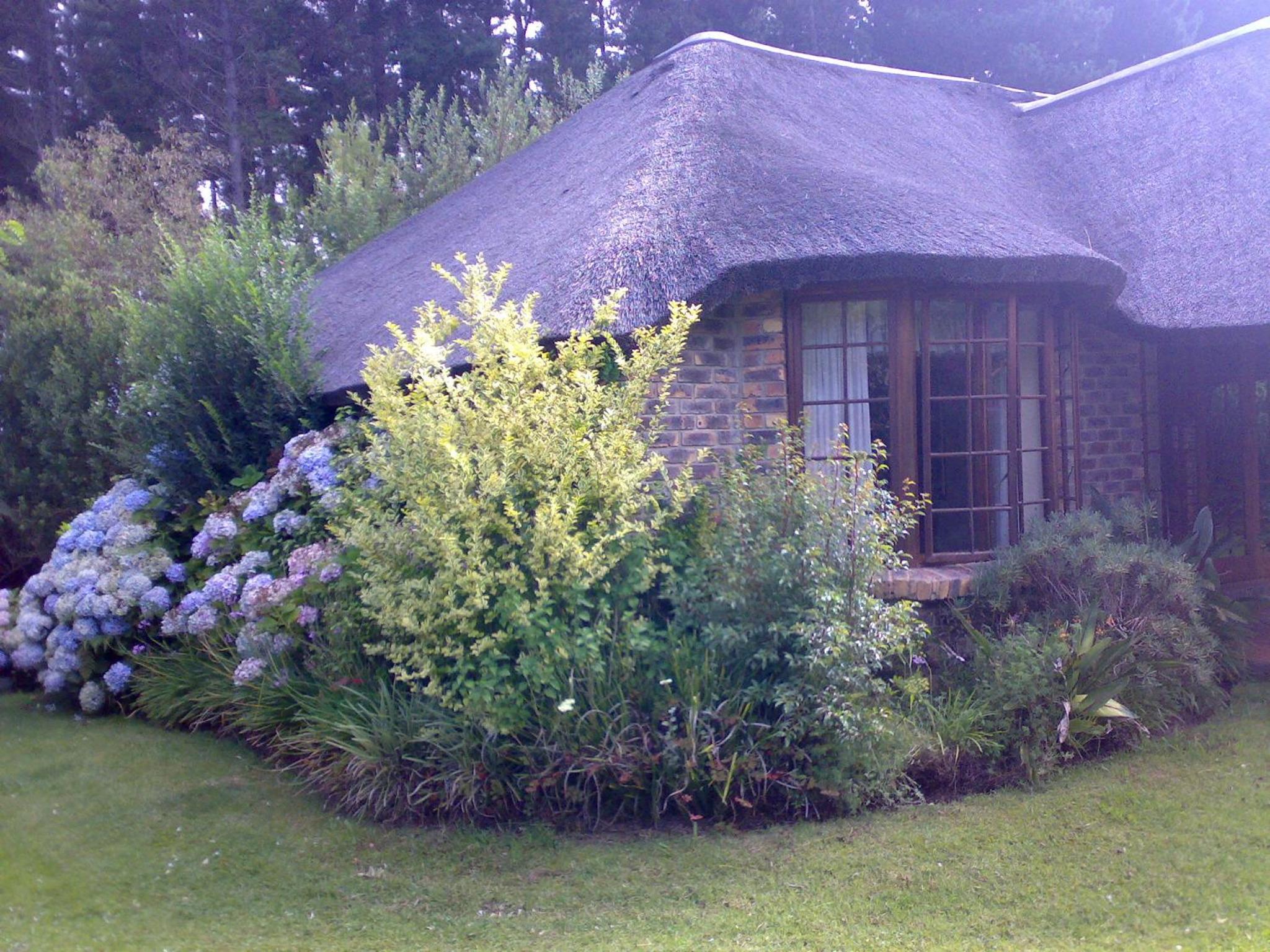 One-Bedroom Cottage - Photo 11