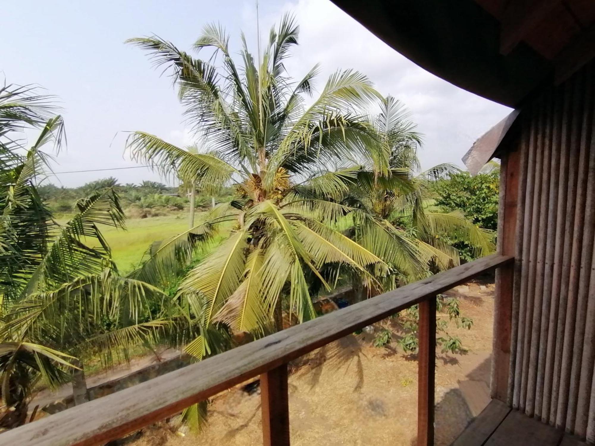 Double or Twin Room with Balcony
