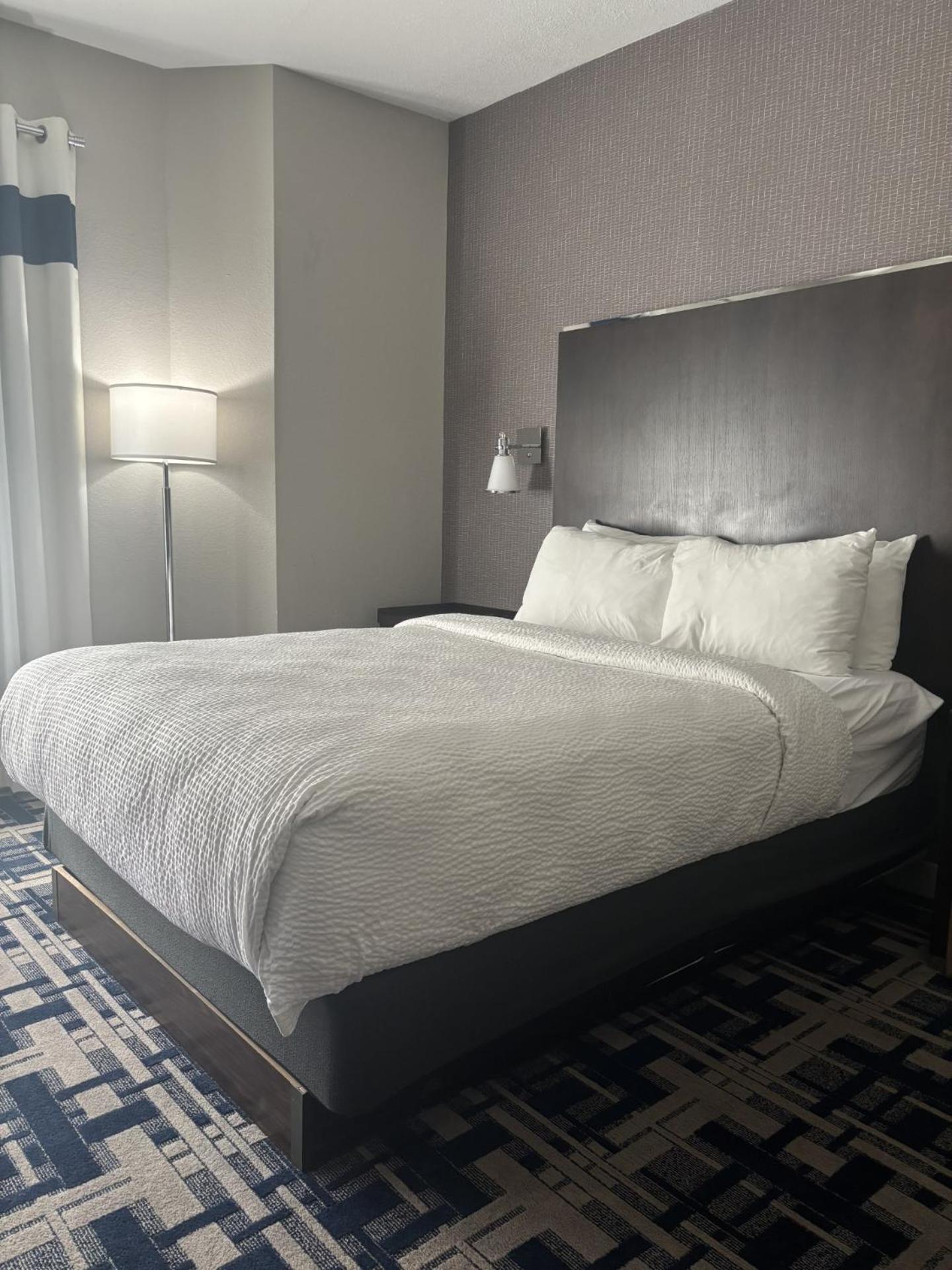 Suite, Queen, Sofa bed - Photo 1