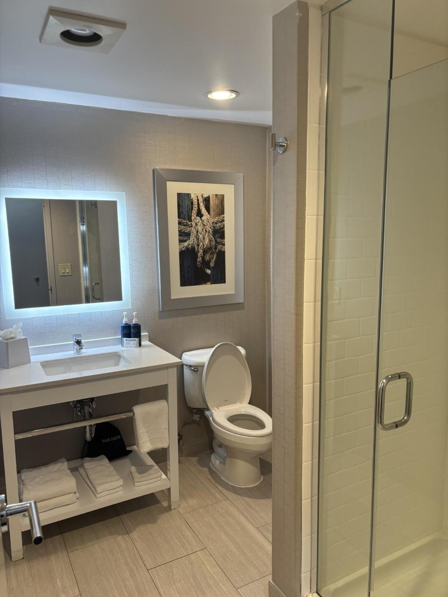 Traditional, Guest room, 1 King - Photo 3