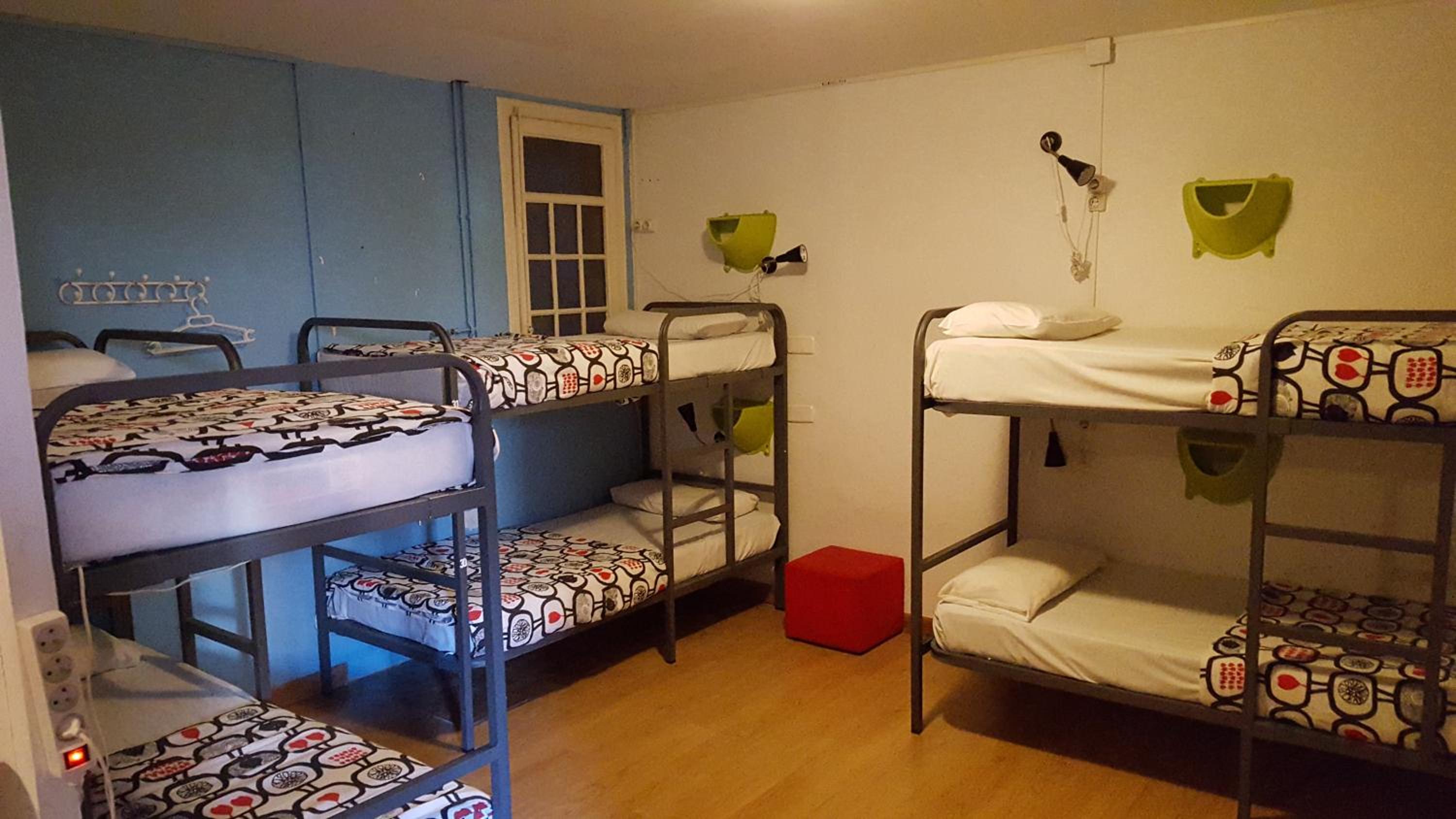 Single Bed in 8 Bed Mixed Dormitory Room photo 3