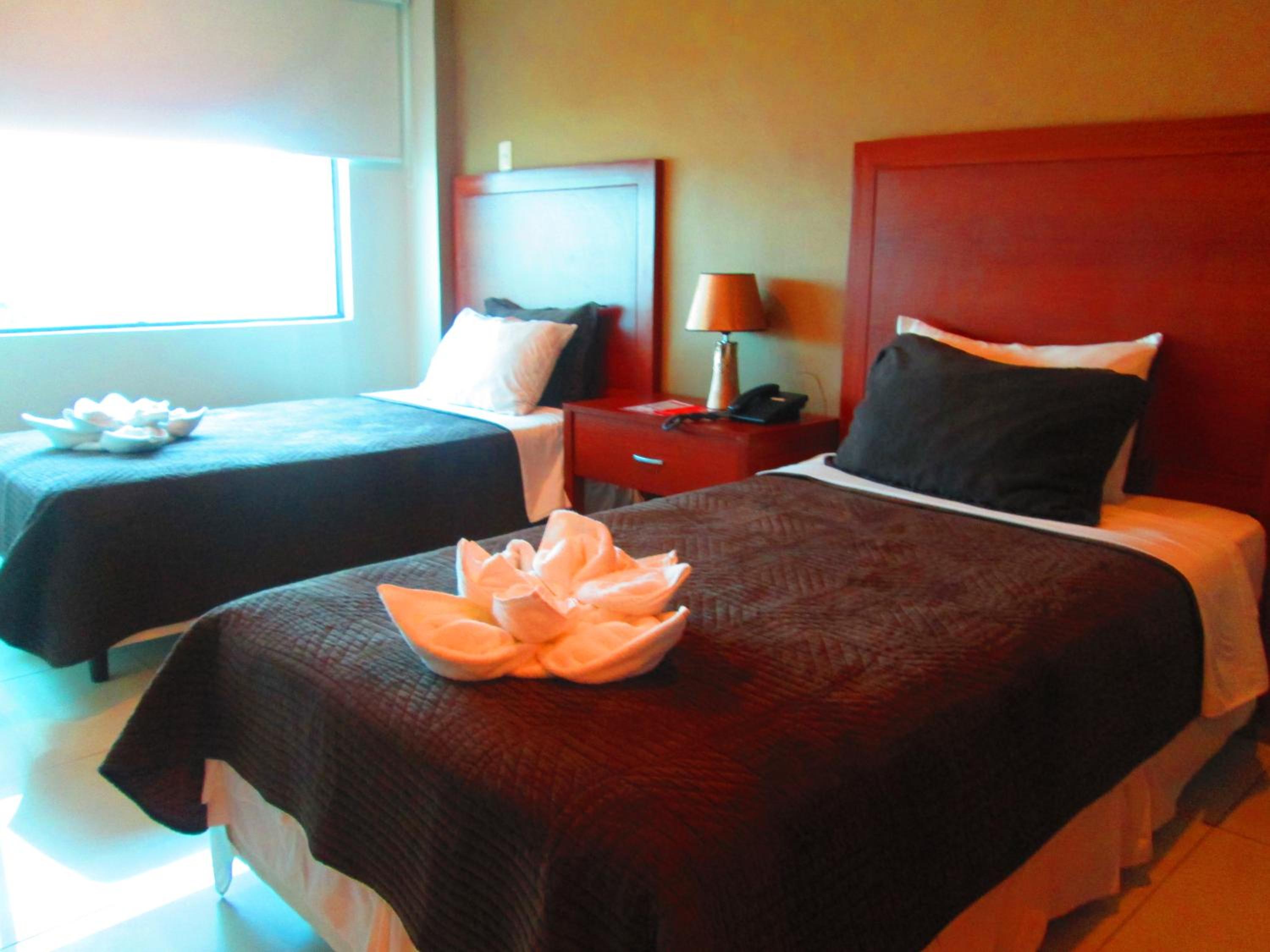 Twin Room photo 2