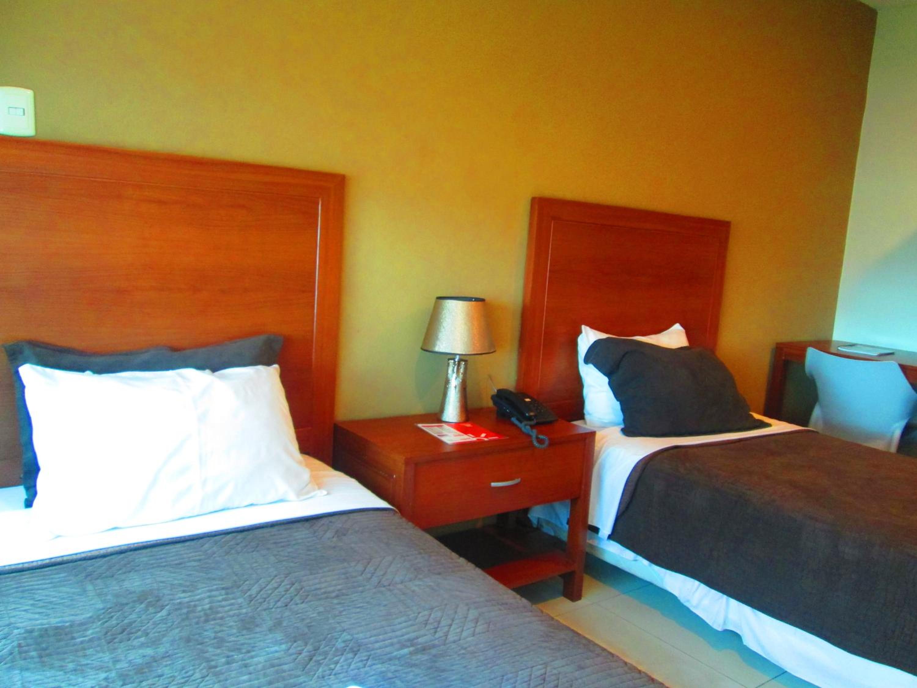 Twin Room photo 1