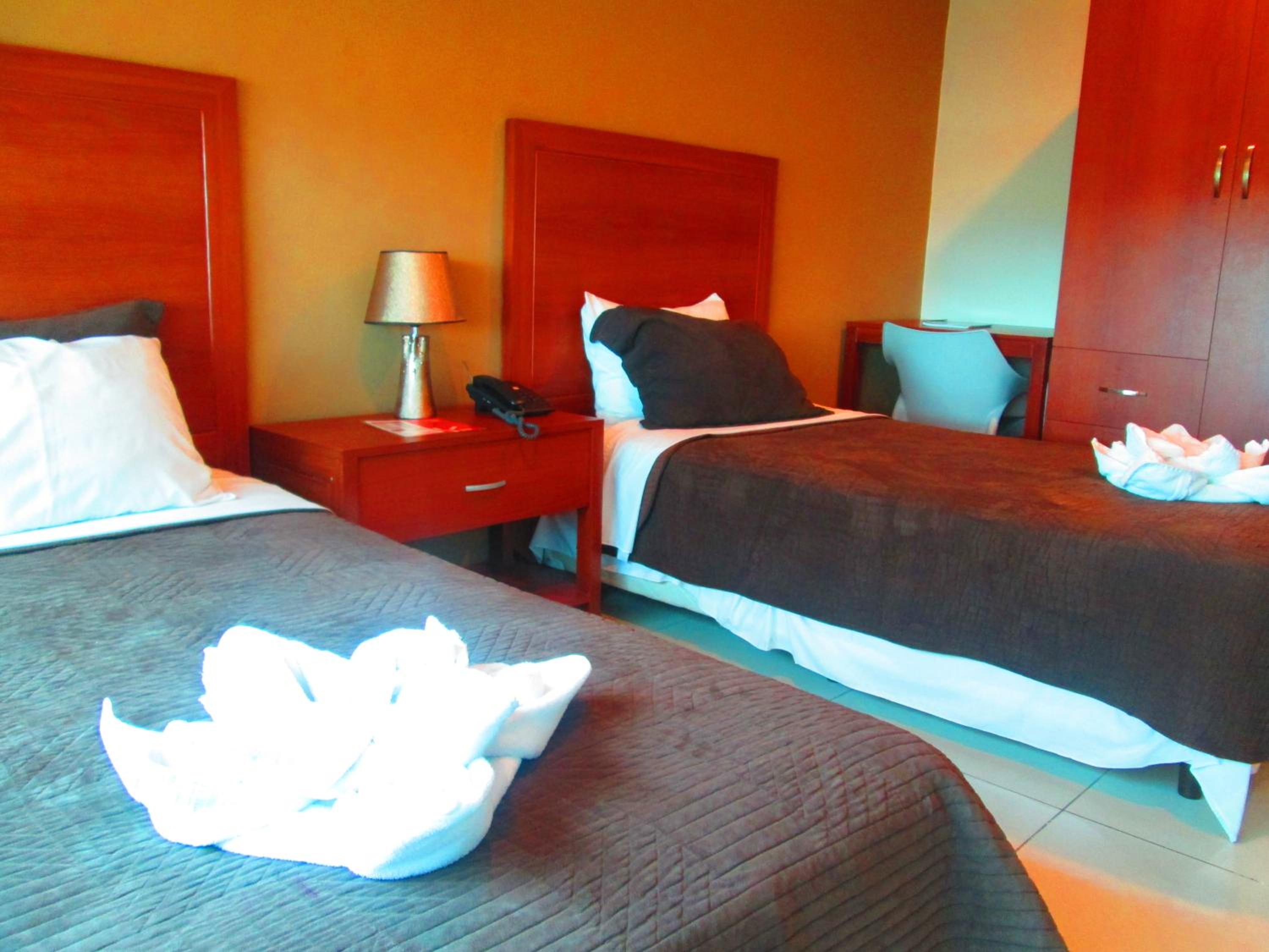 Twin Room photo 3
