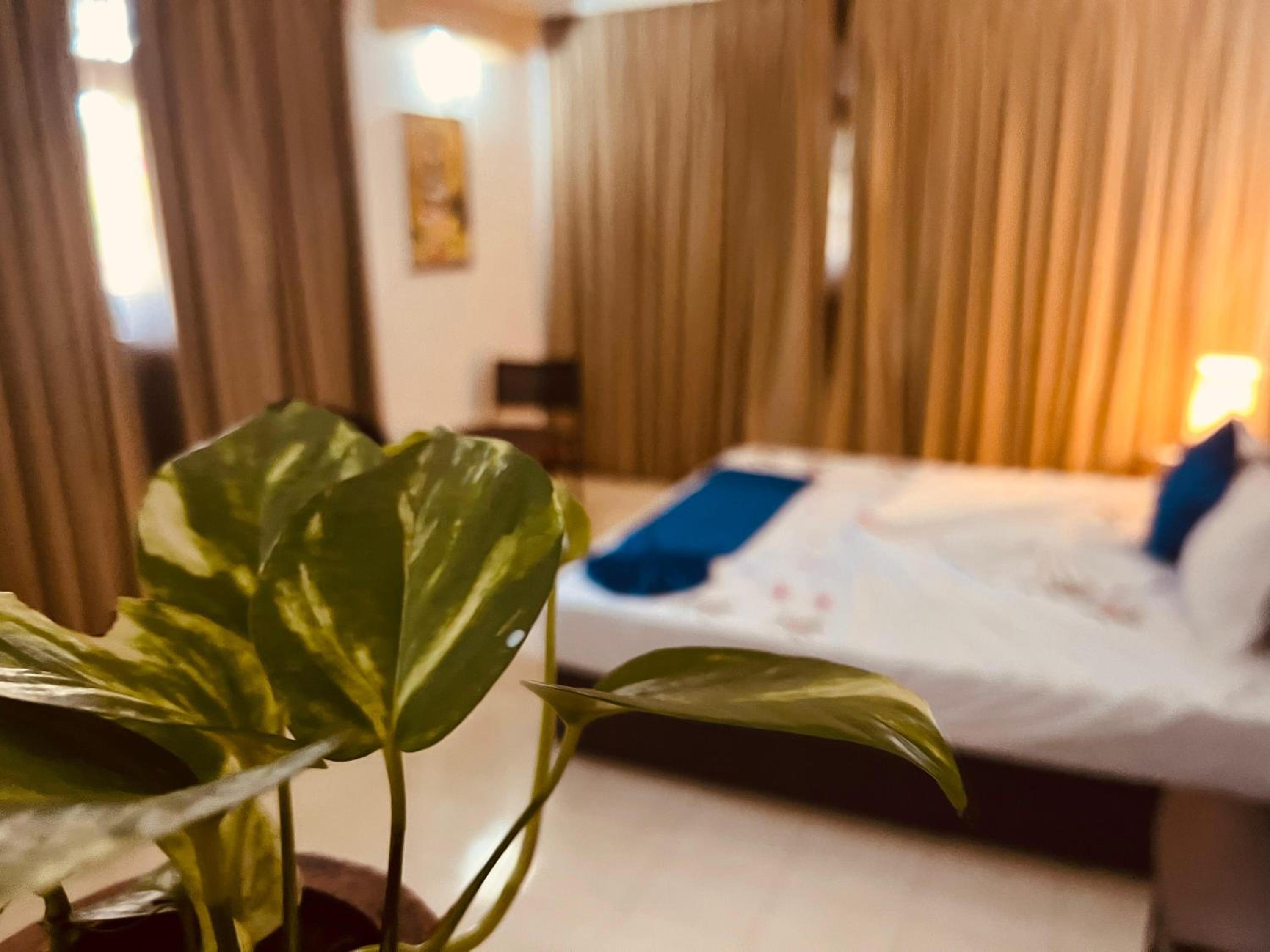 Double Room with Spa Bath photo 2