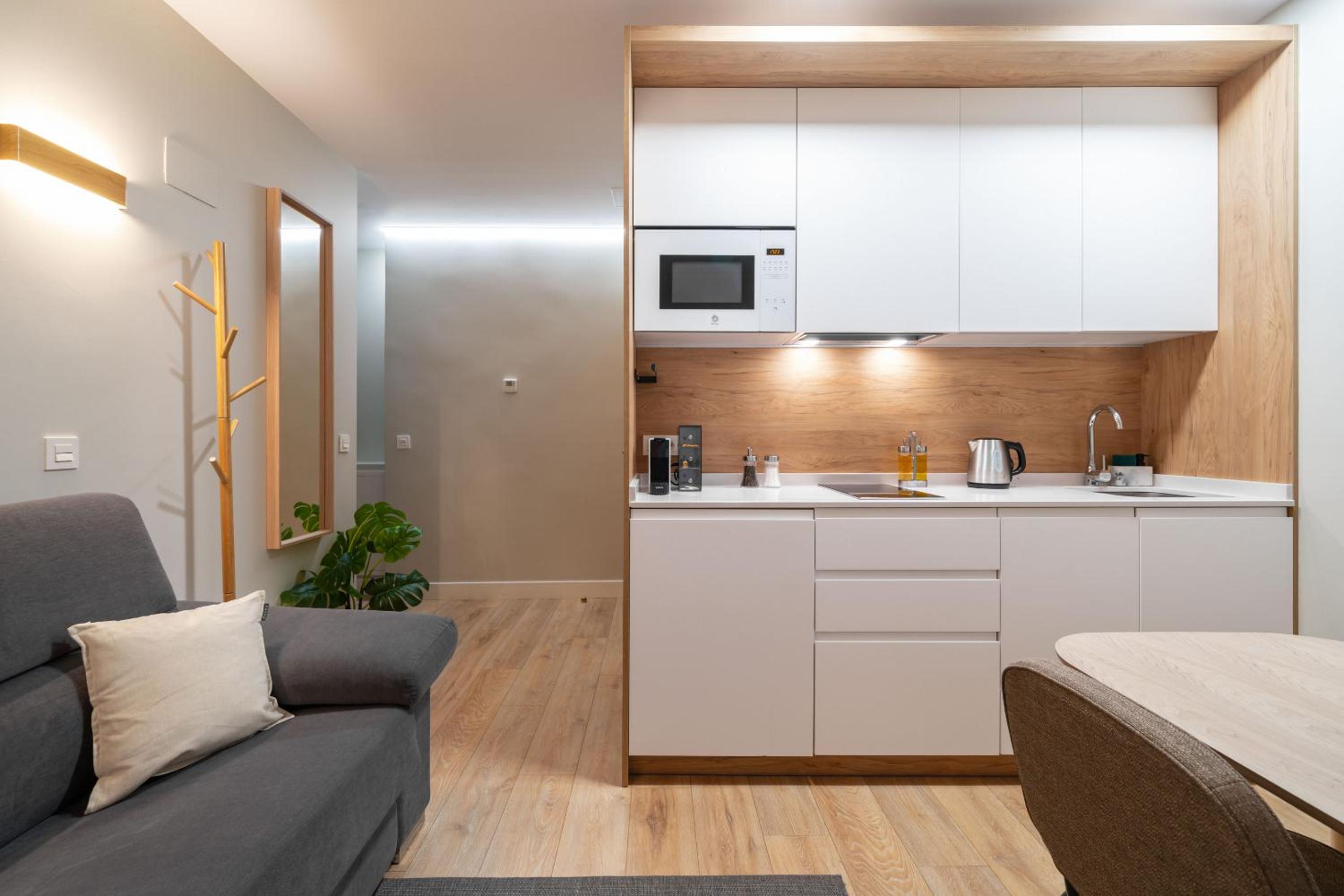 One-Bedroom Apartment with sofa bed