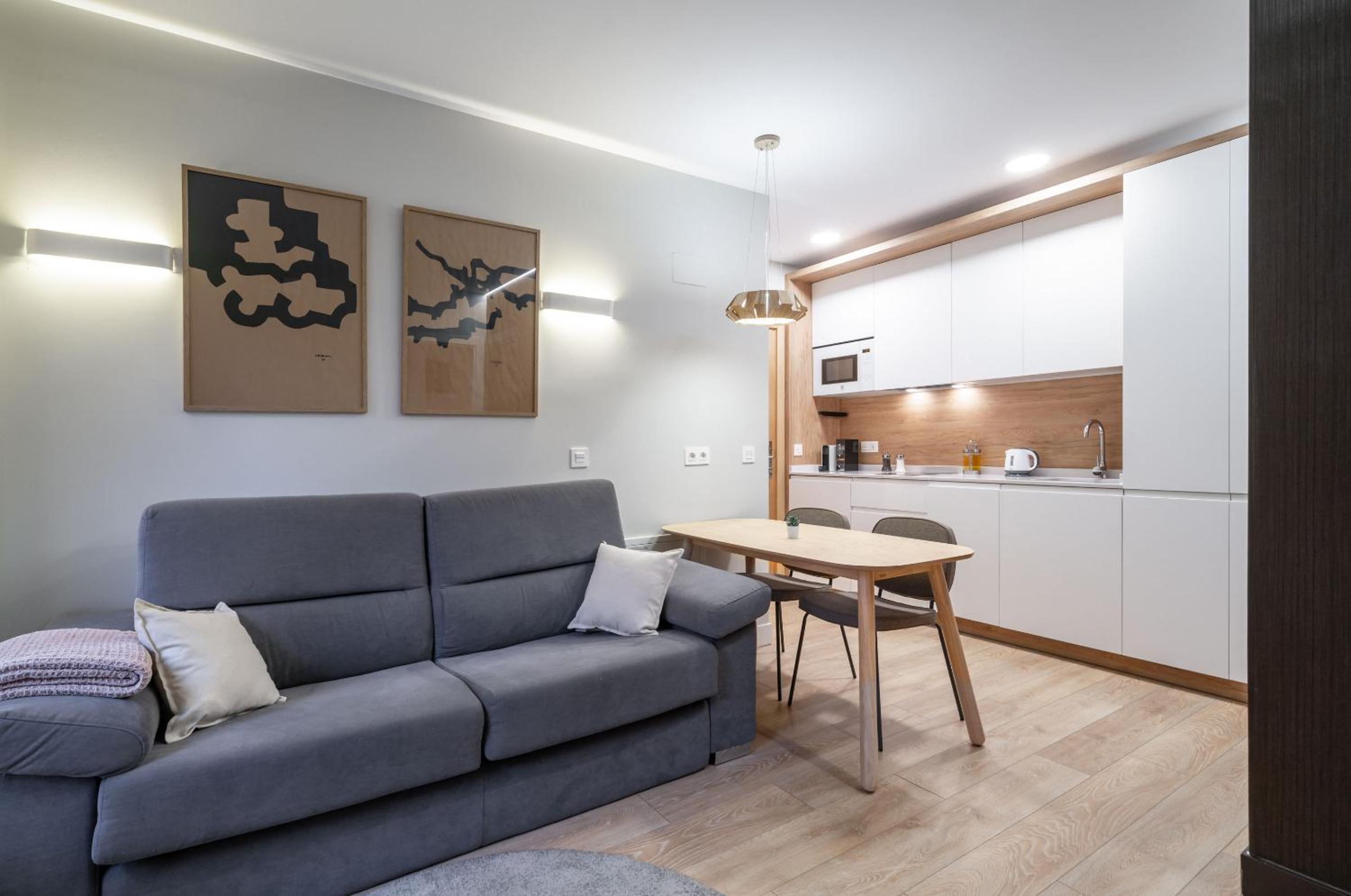 One-Bedroom Apartment with sofa bed