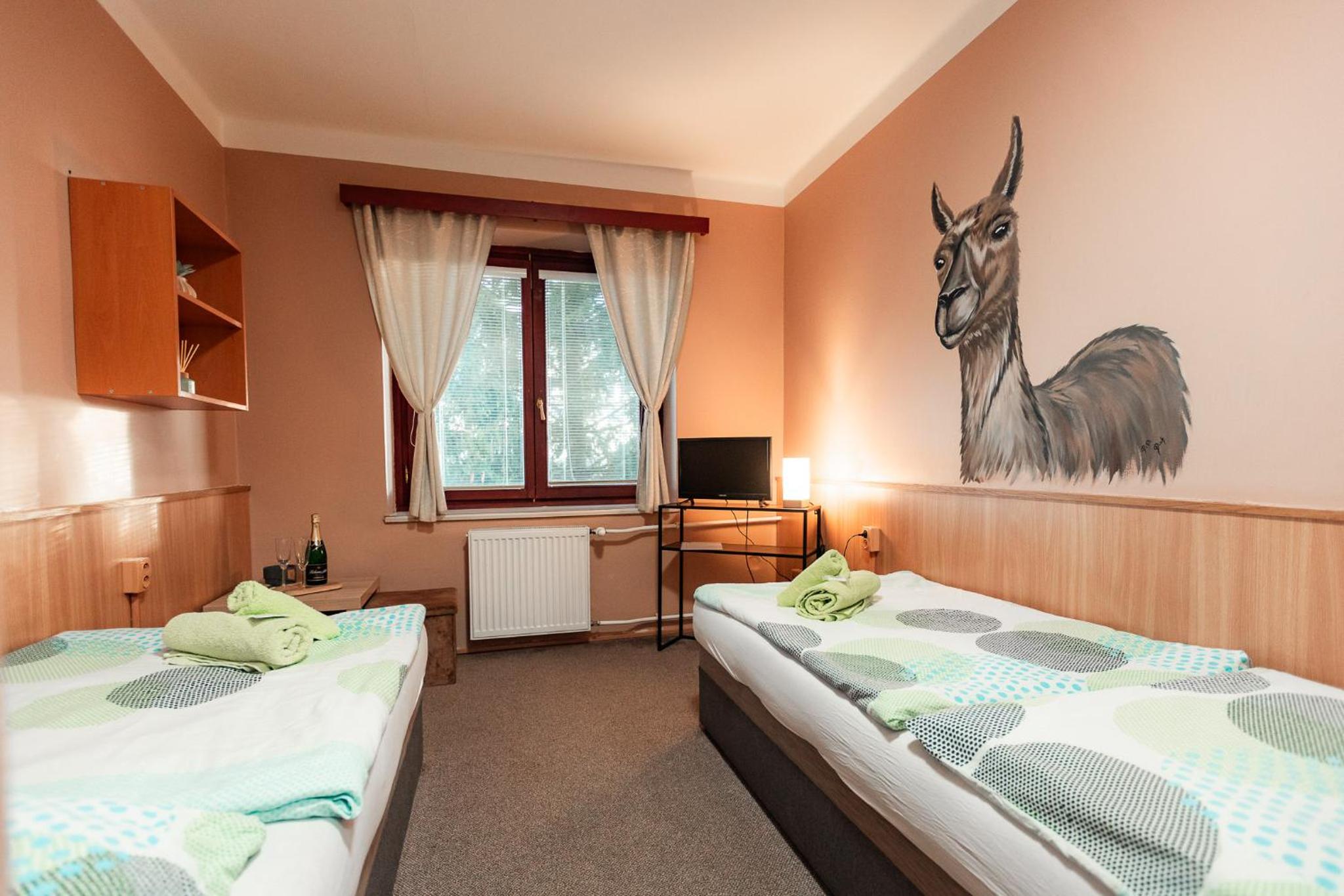 Twin Room with Lake View