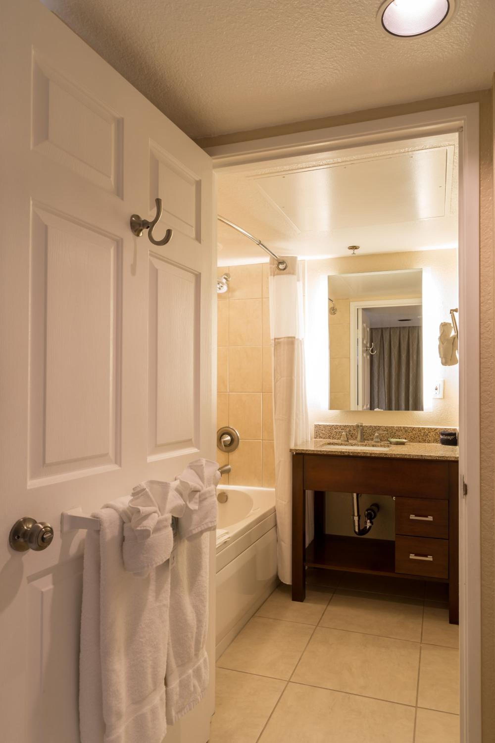 One-Bedroom Suite - Photo 4